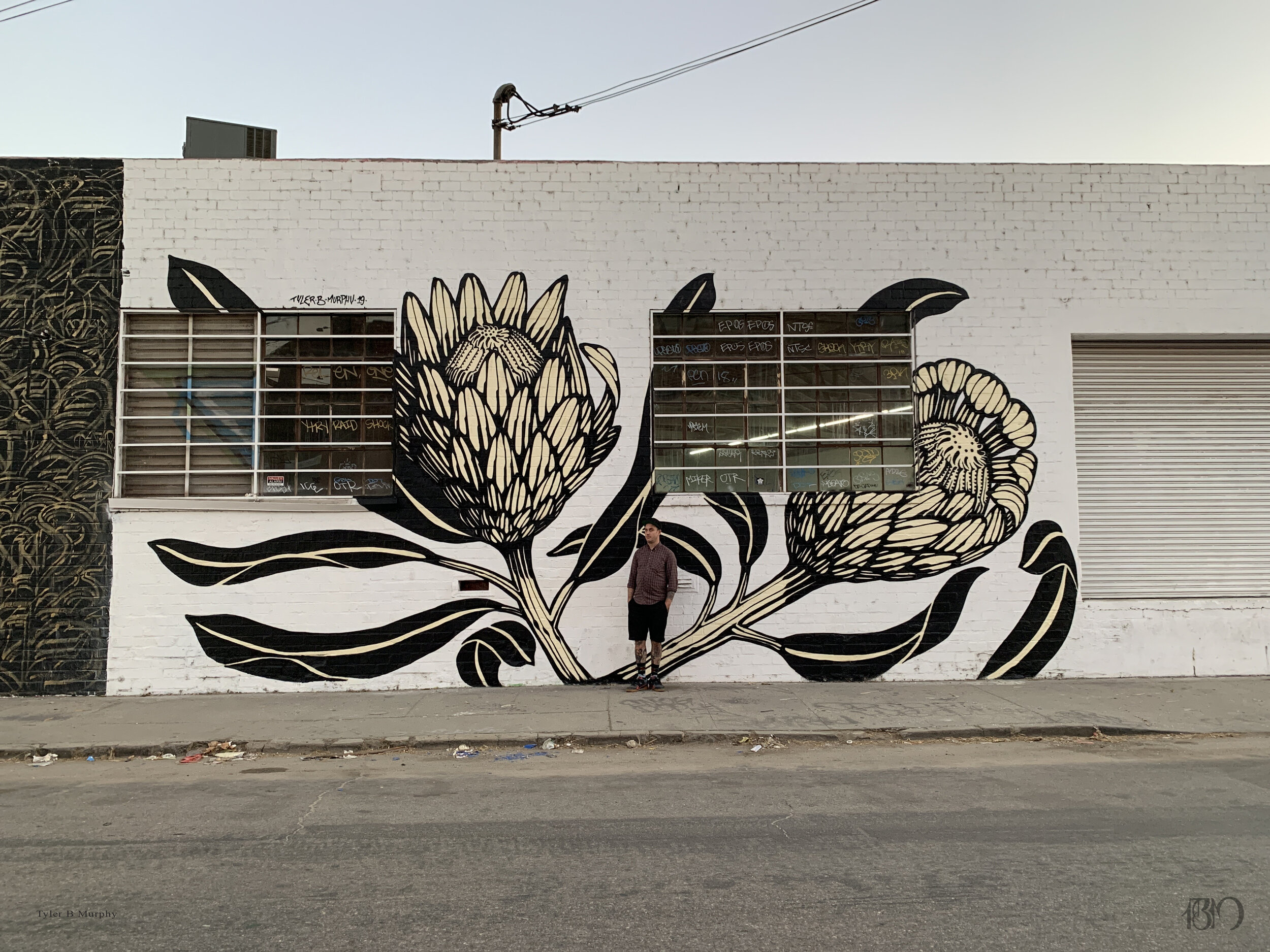 Protea mural in Los Angeles by Tyler B Murphy.jpg