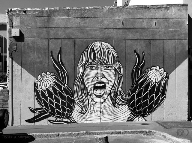 Spray painted mural of a lady and two proteas Tyler B Murphy copy.jpg