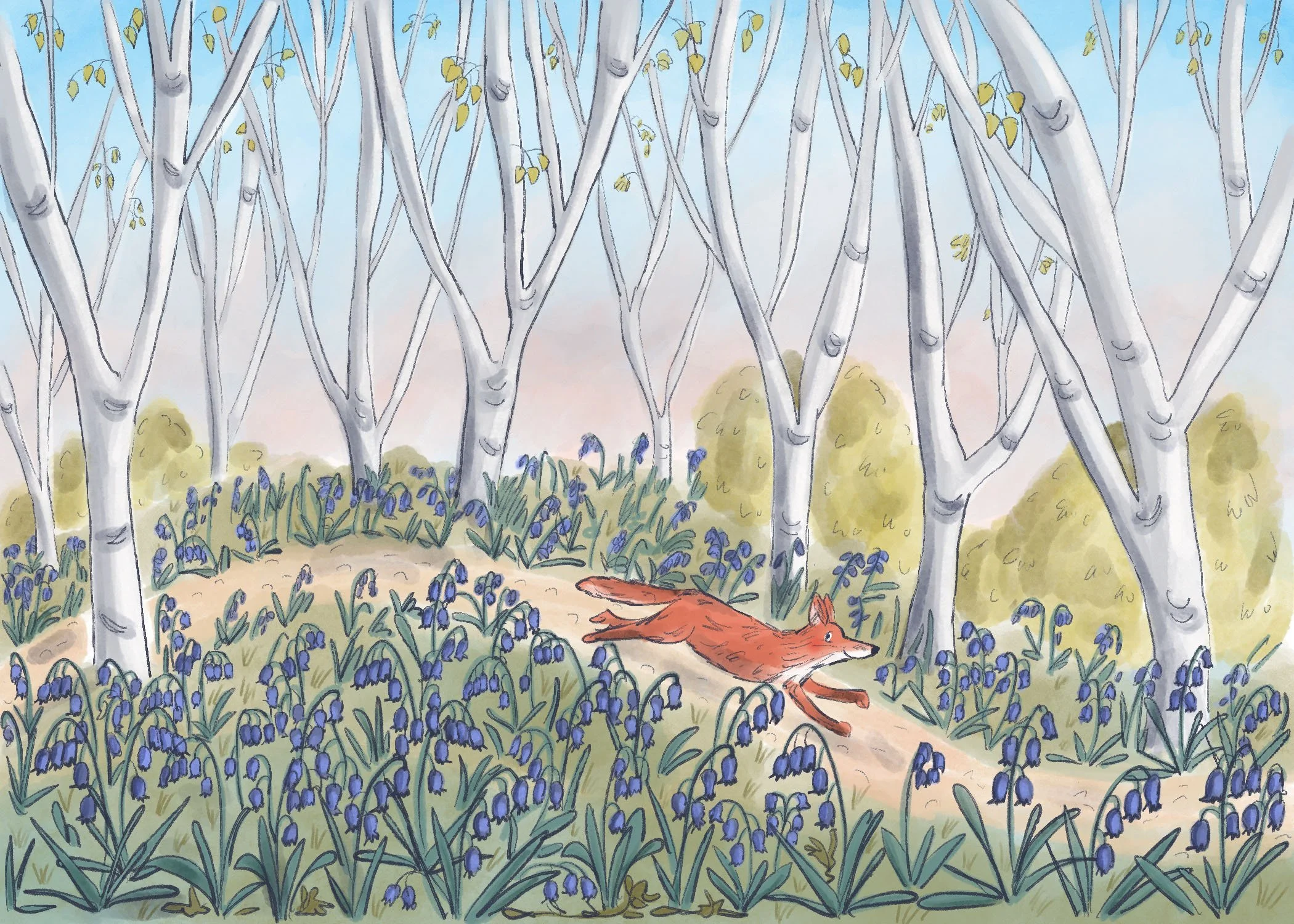 Silver_Birch_And_Fox screen.jpg