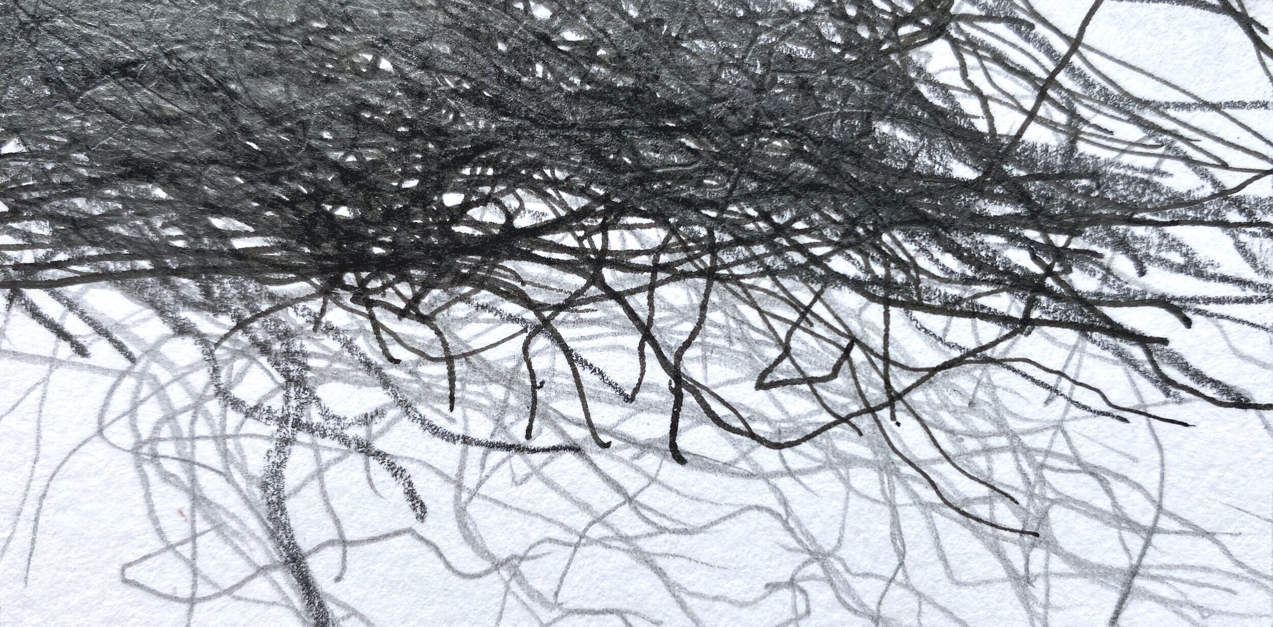Transcription 1: Seven Day Diary, Ink and graphite on paper, 11cm x 6cm
