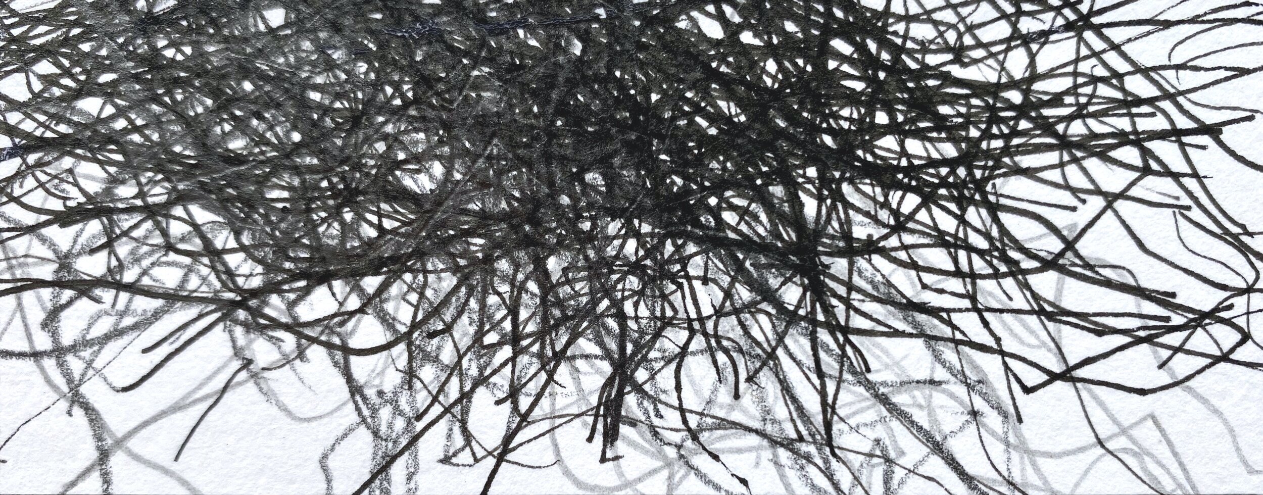 Transcription 2: Seven Day Diary, Ink and graphite on paper, 14cm x 8cm