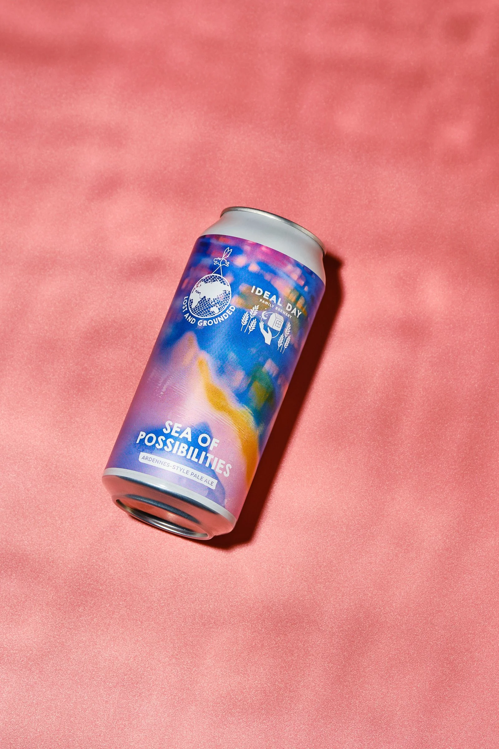 Sea Of Possibilities4436(web).jpg