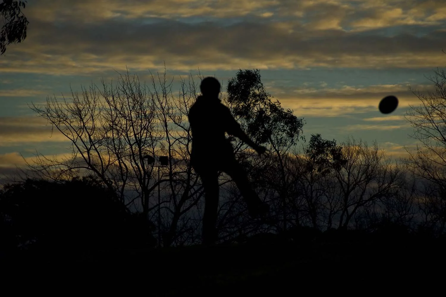 football kids sil021.jpg