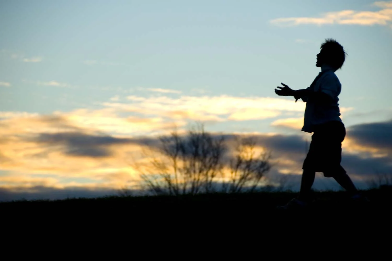 football kids sil029.jpg