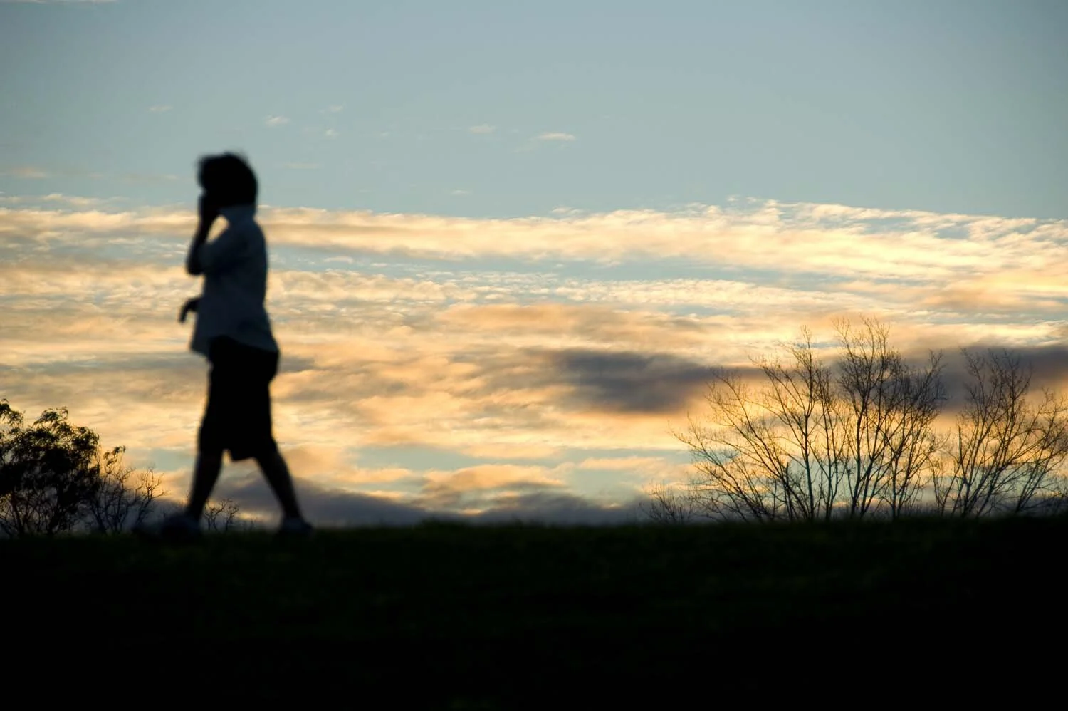 football kids sil044.jpg