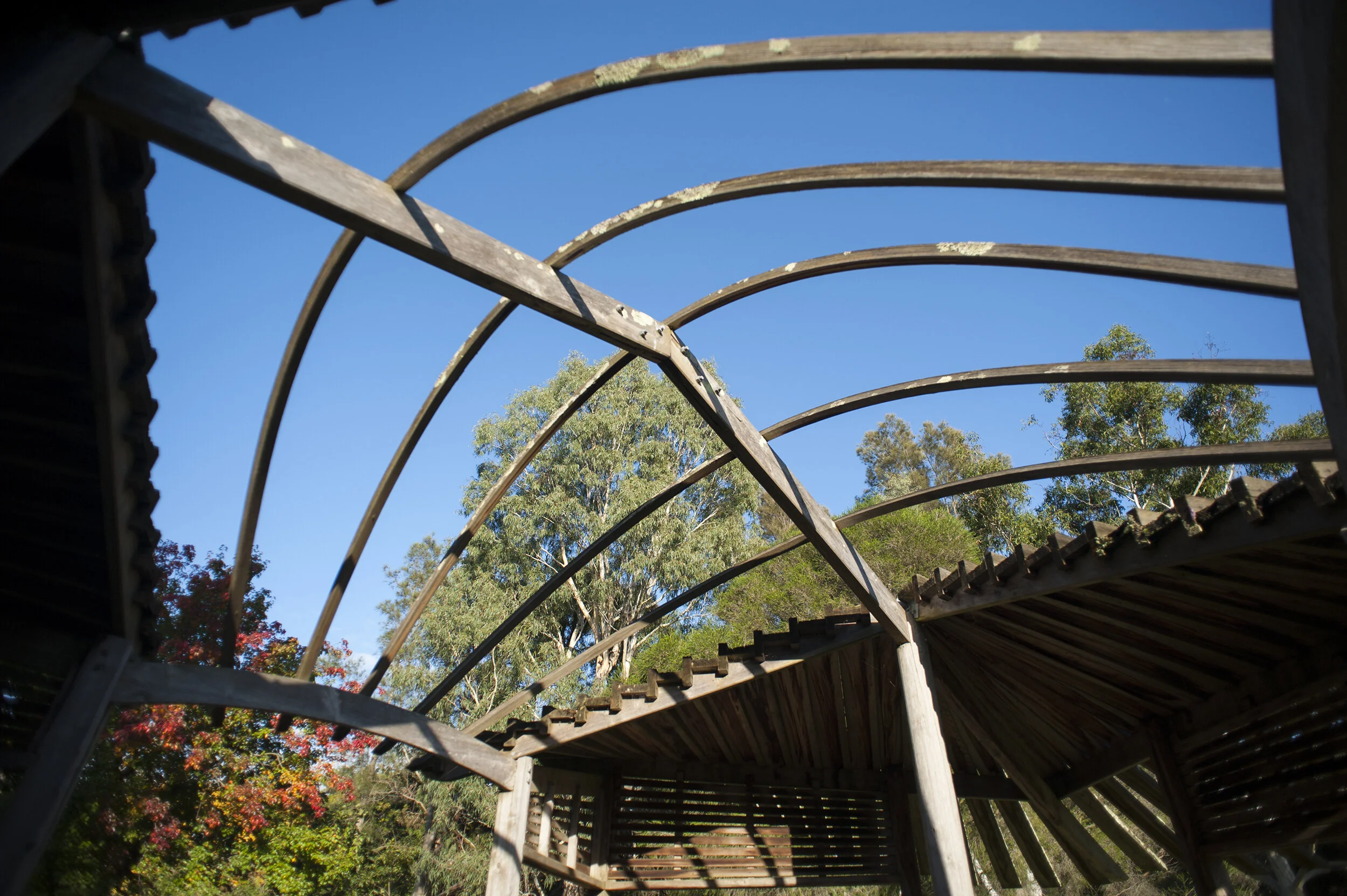 Rose Walk Pavilion, at Heide