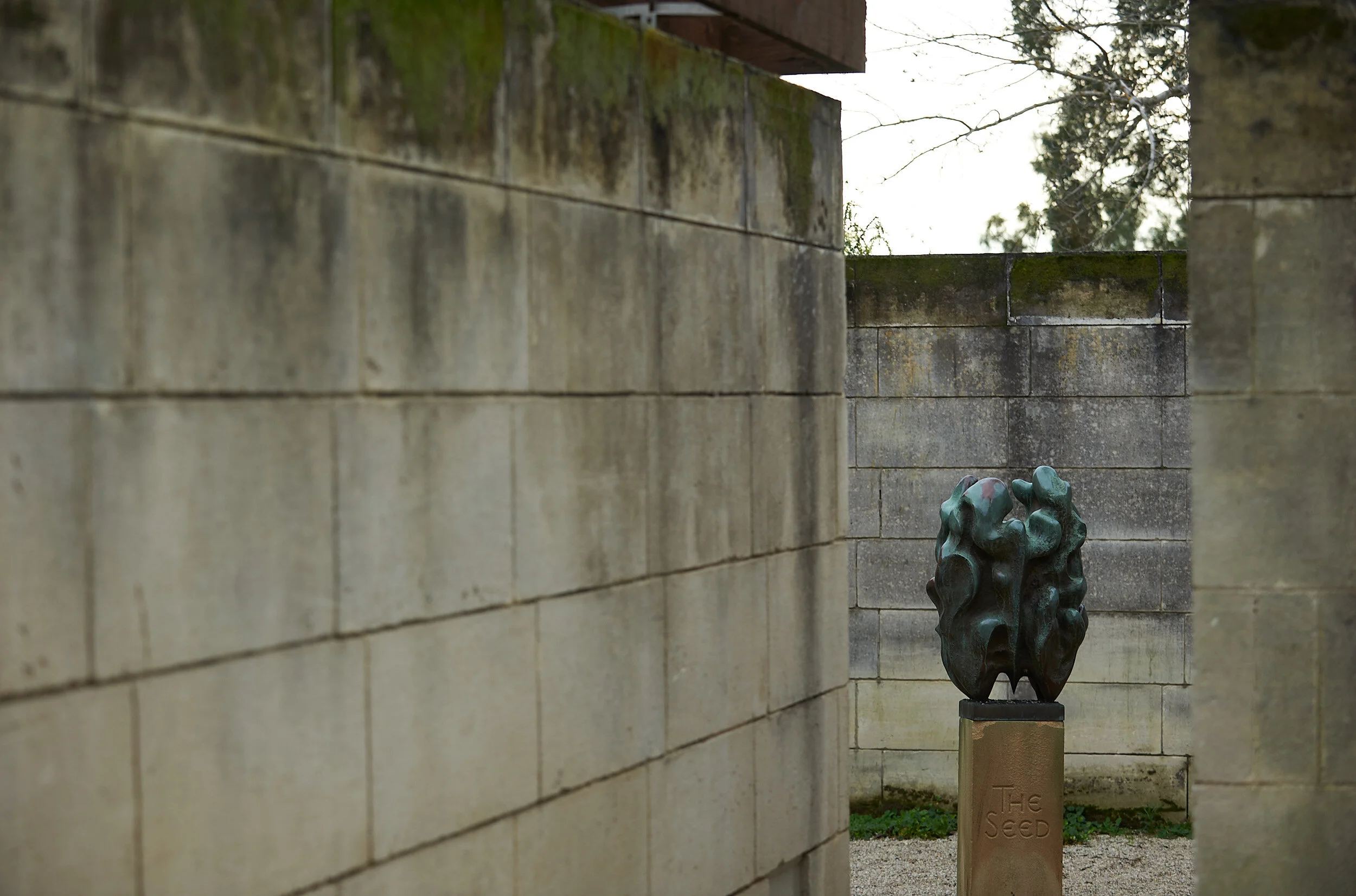 The Seed-Accumulation - Vlase Nikoleski, at Heide