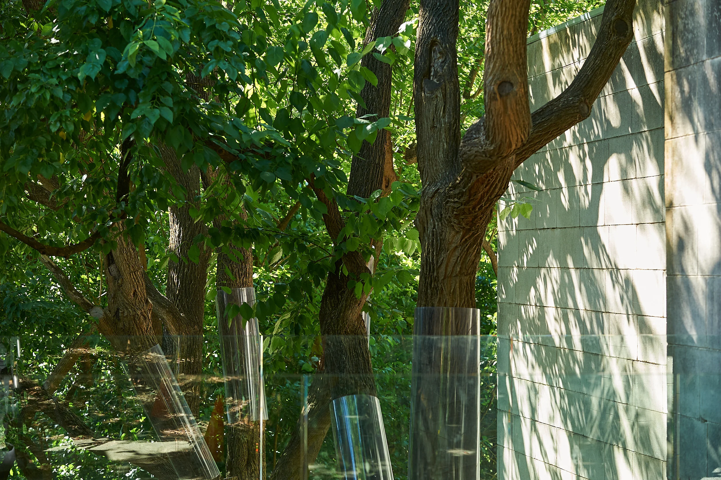 Heide II with Osage Orange