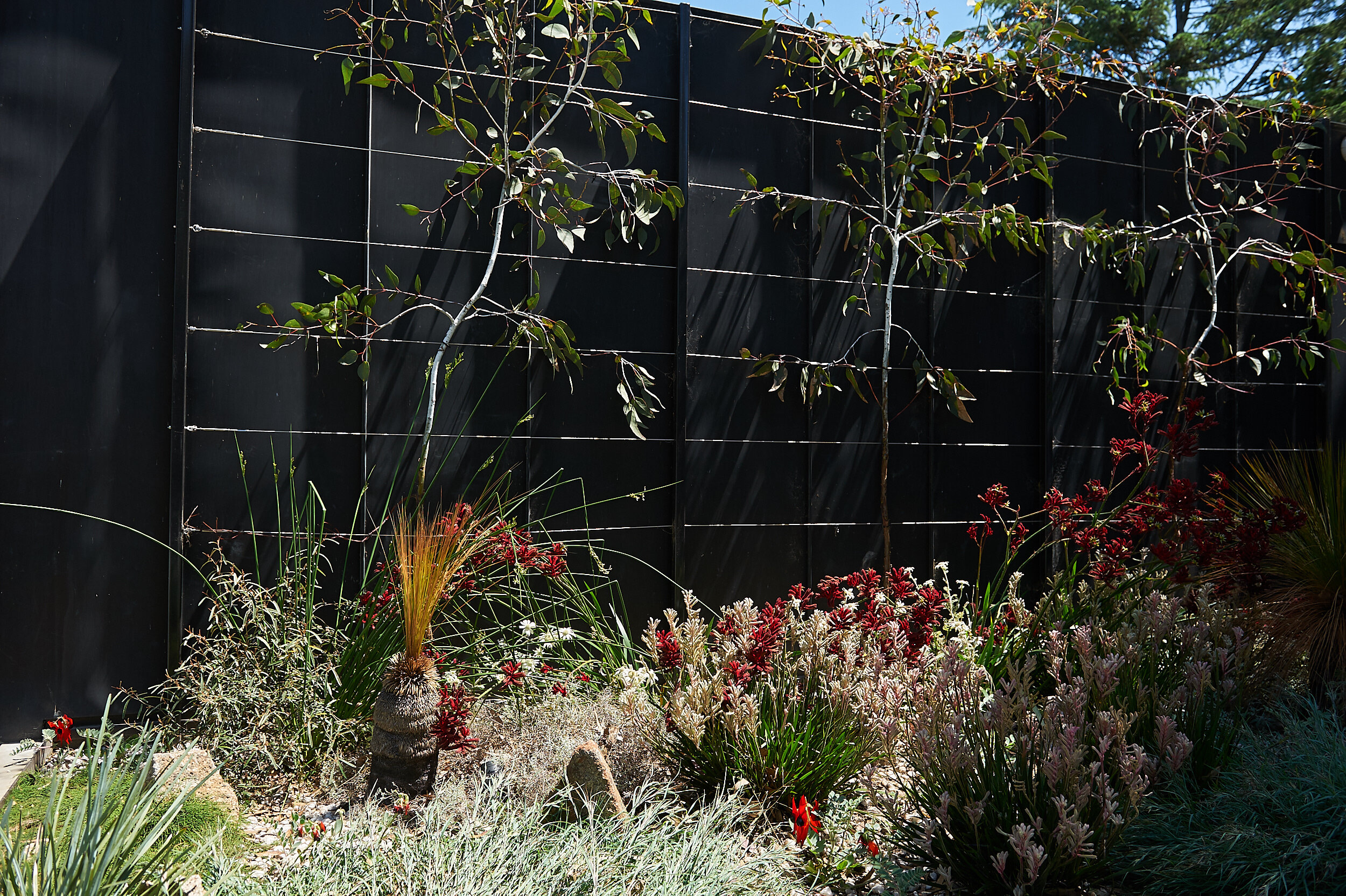 A Native Rockery Garden - Fiona Hall, at Heide