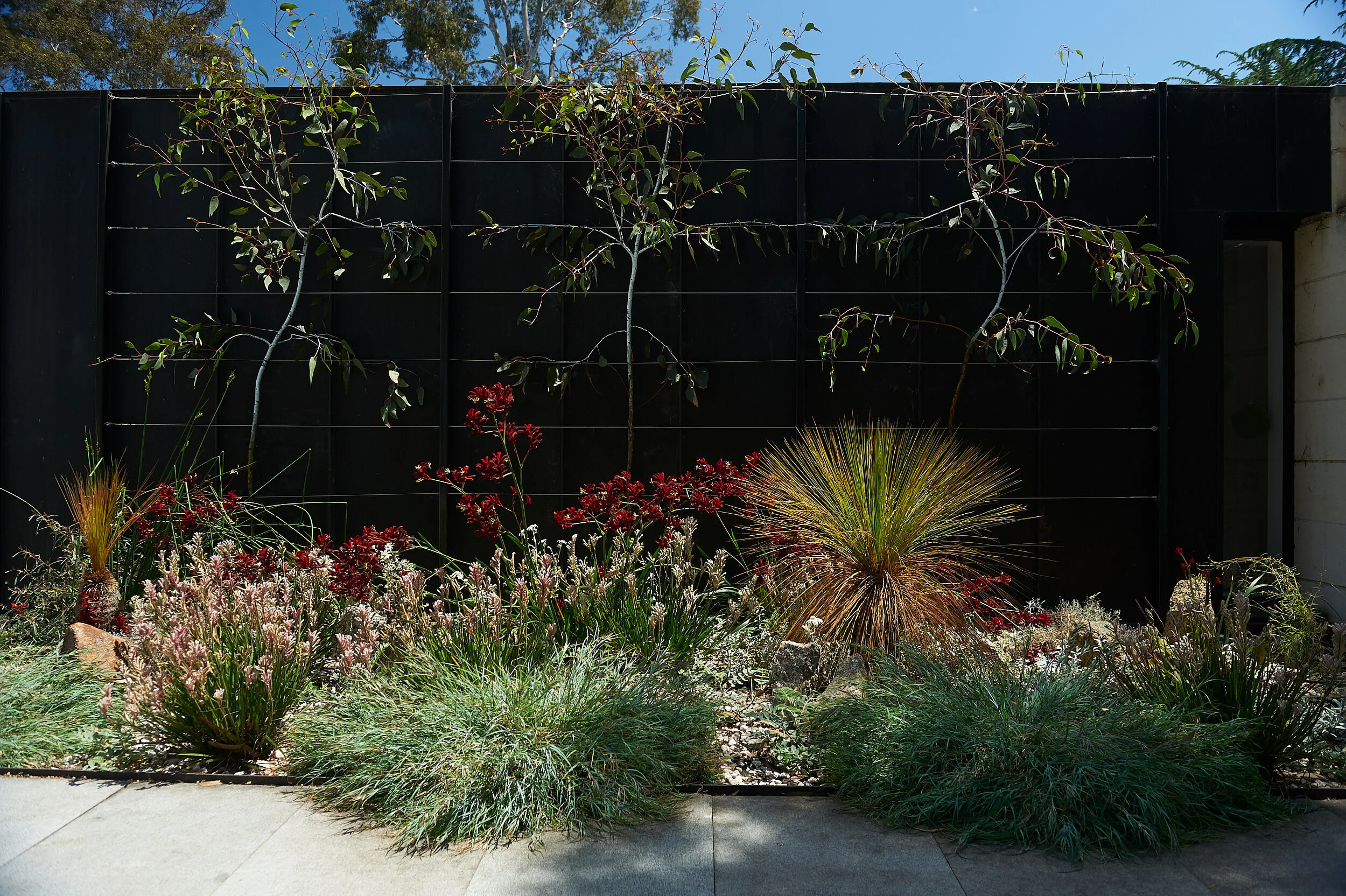 A Native Rockery Garden - Fiona Hall, at Heide