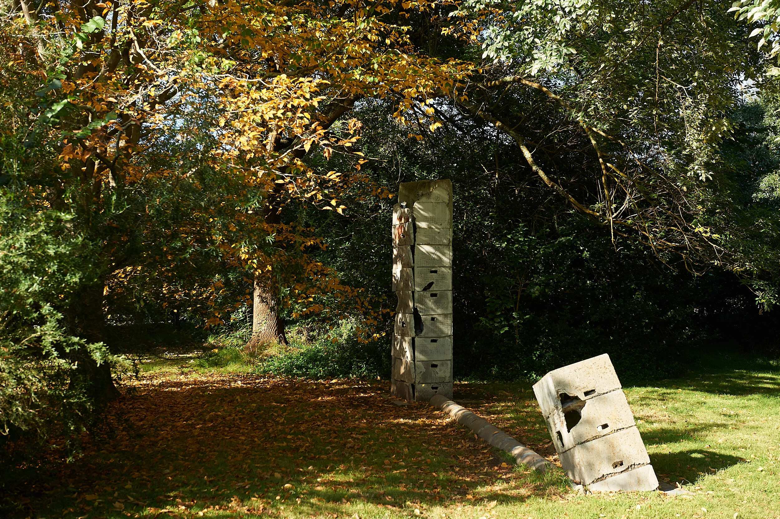 Scales - Peter Rosman