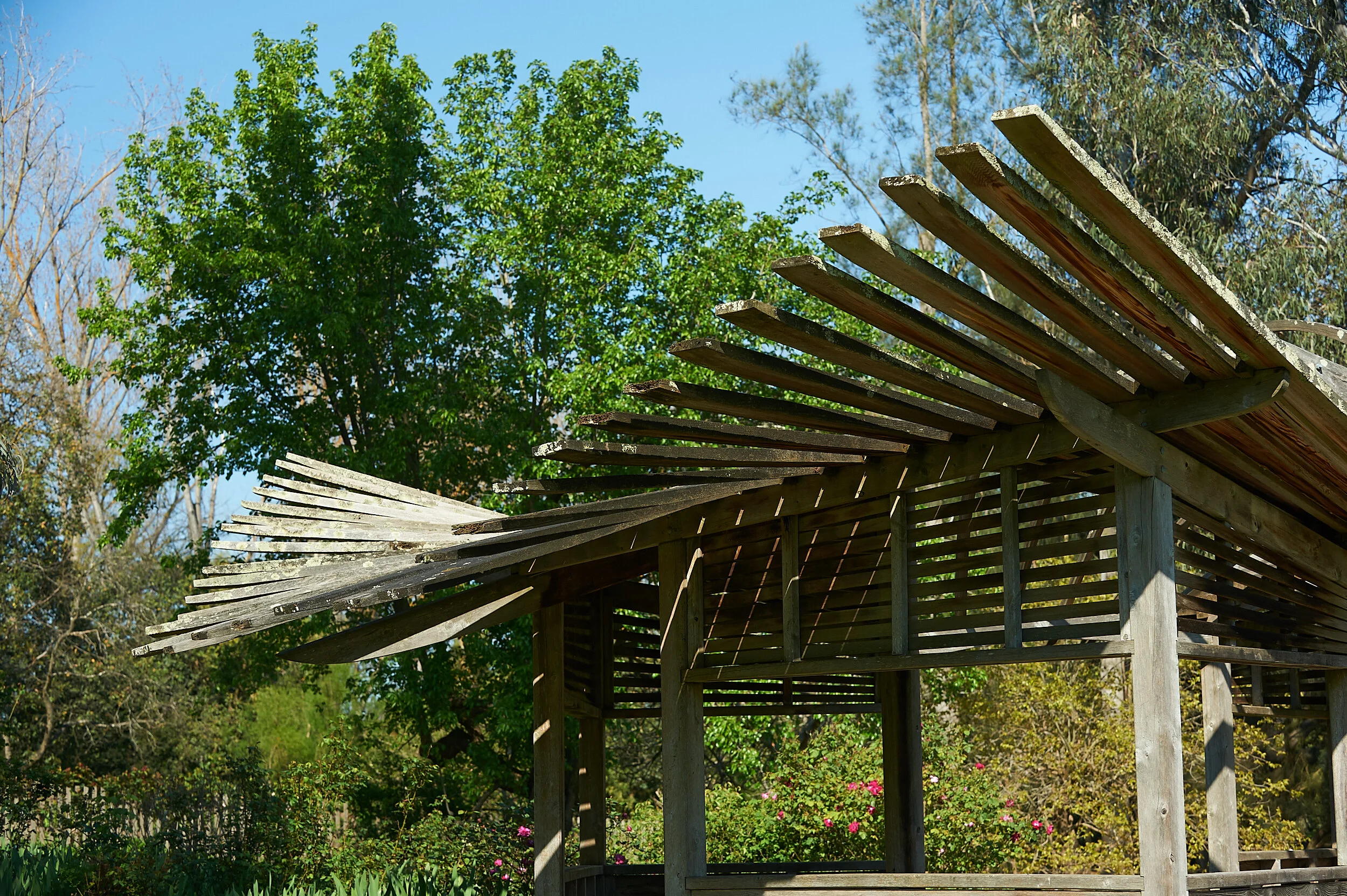 Rose Walk Pavilion, at Heide
