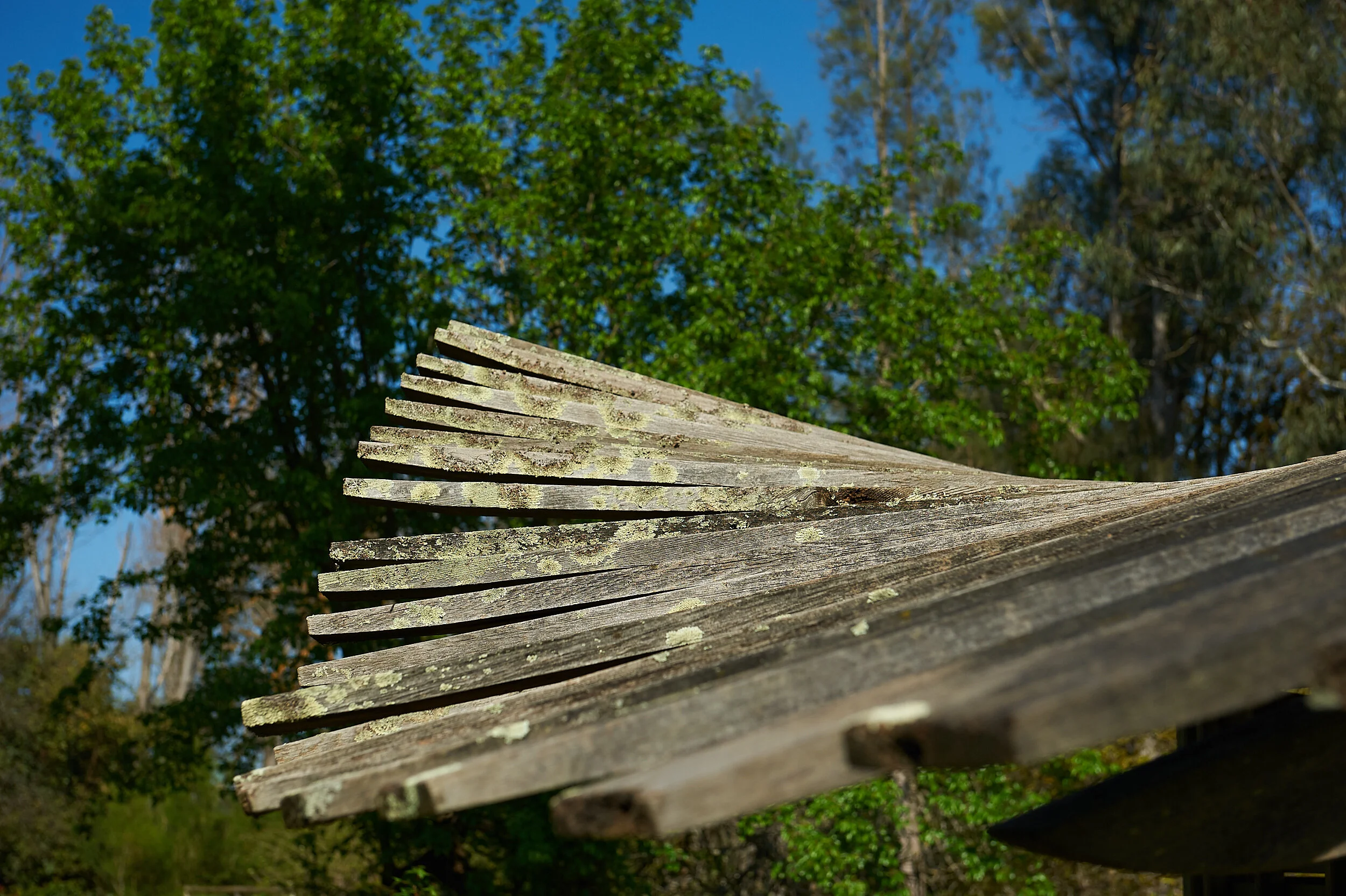 Rose Walk Pavilion, at Heide