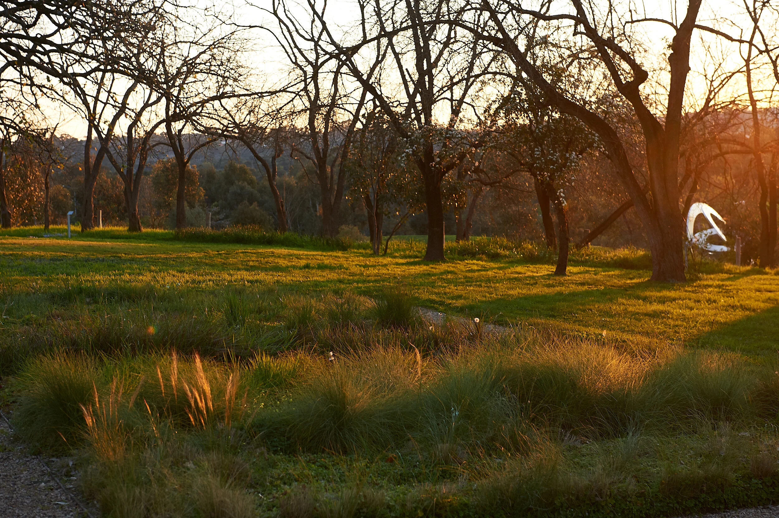 Karakarook’s Garden - Lauren Berkowitz with Rings of Saturn - Inge King, at Heide