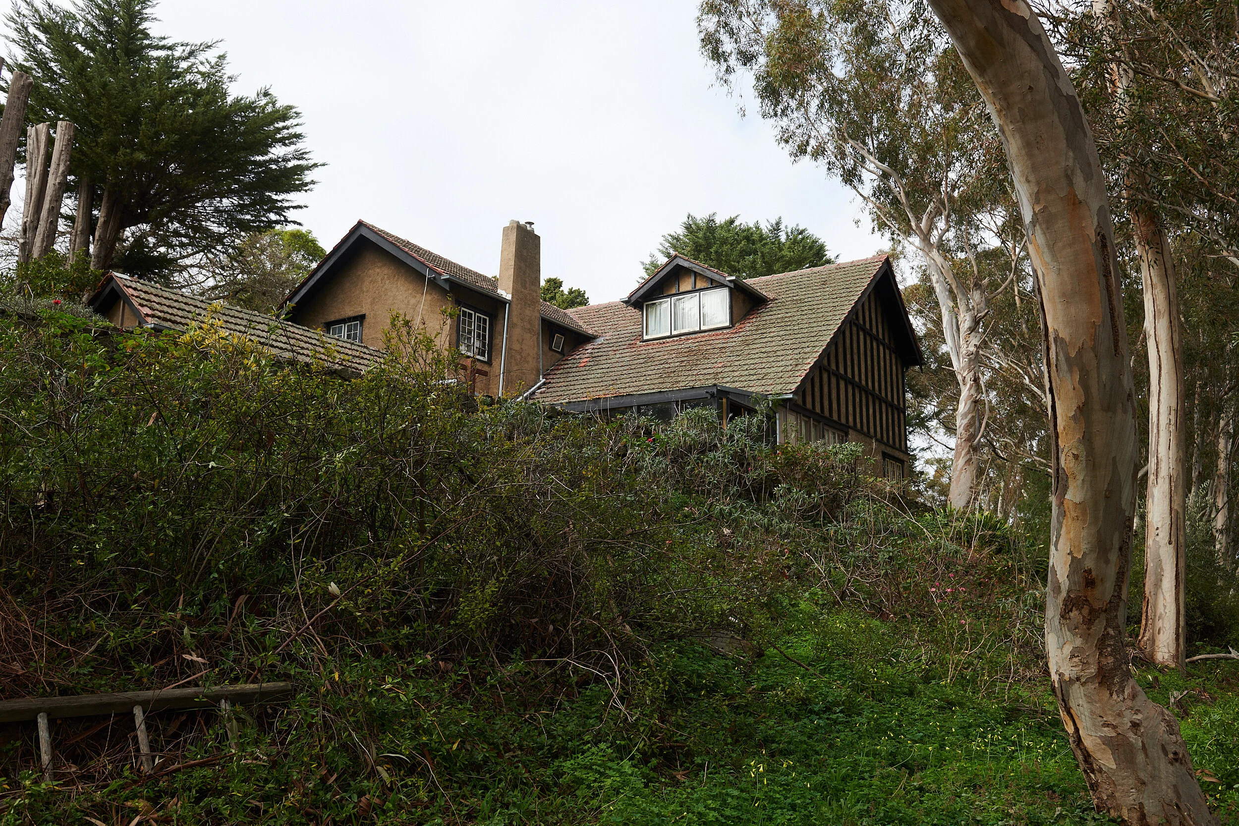 Waller House for Bendigo Art Gallery