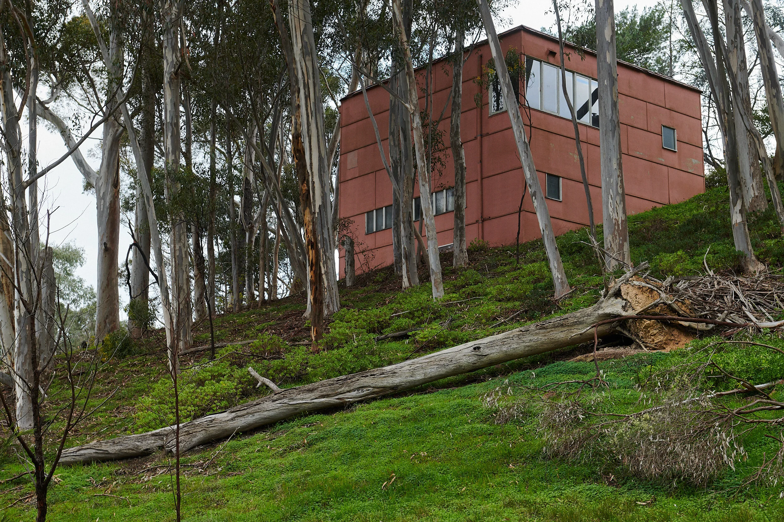 Waller House for Bendigo Art Gallery