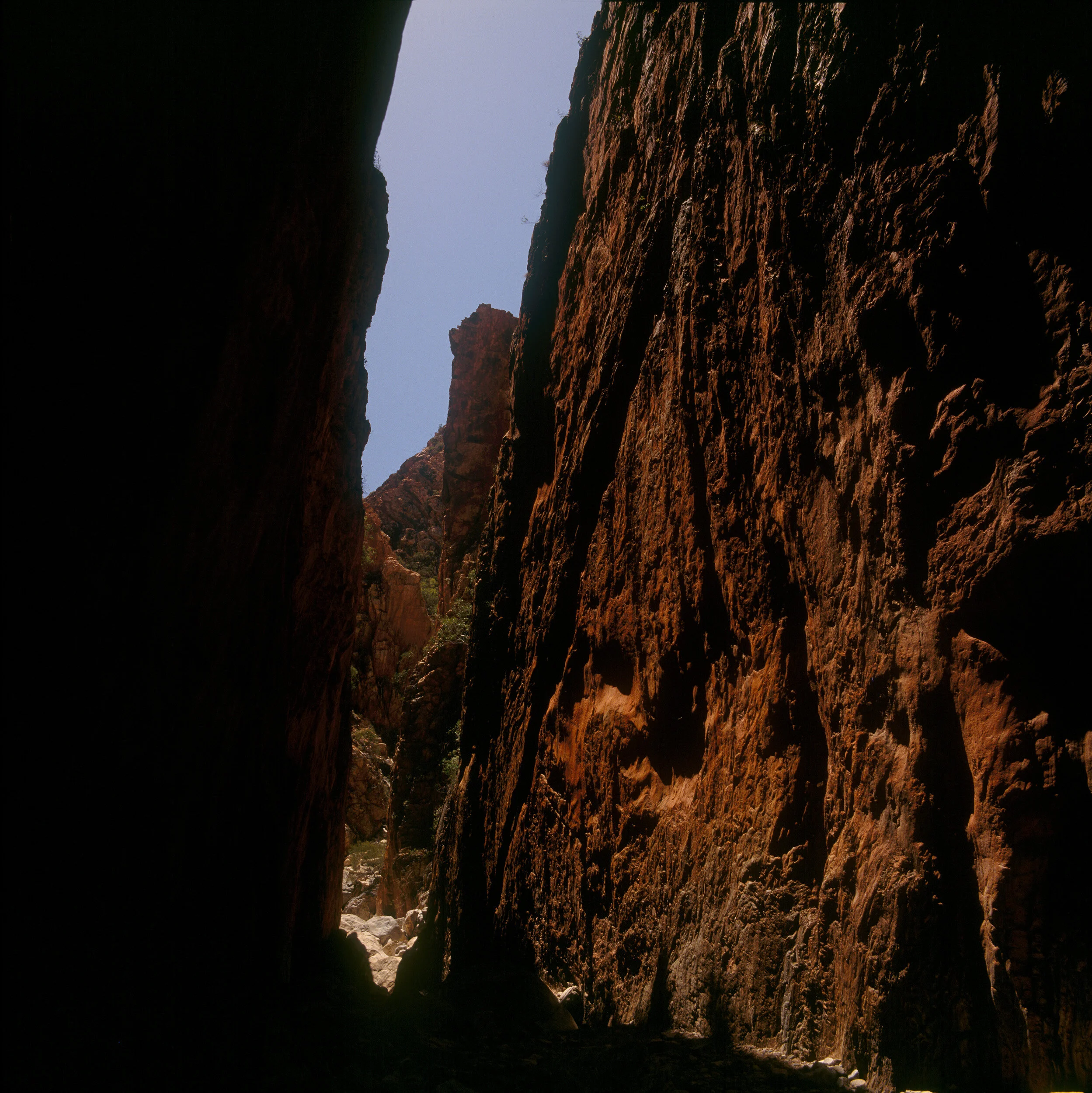 Central Australia squared006.jpg