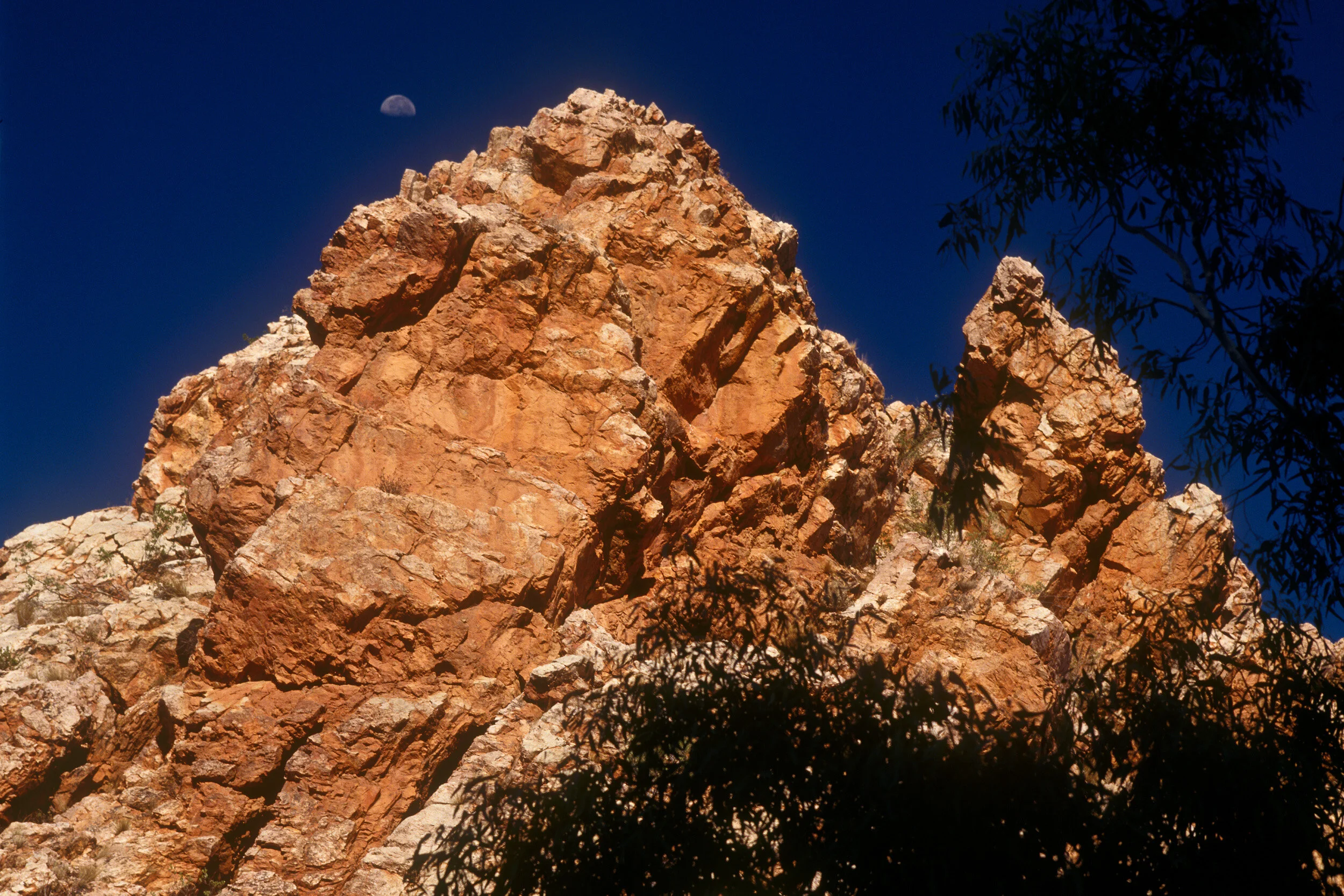 Central Australia squared008.jpg