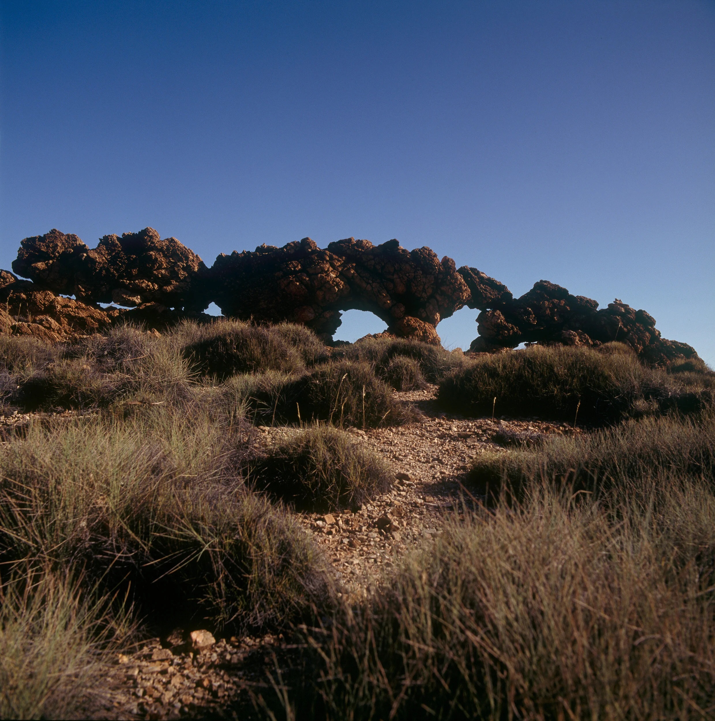 Central Australia squared010.jpg