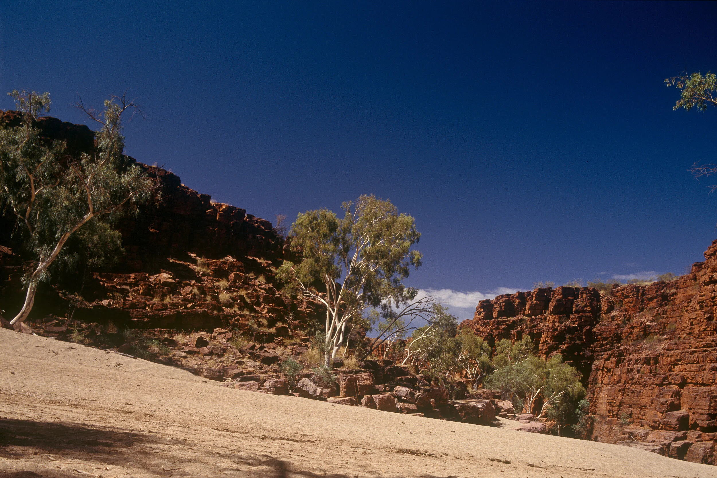 Central Australia squared014.jpg