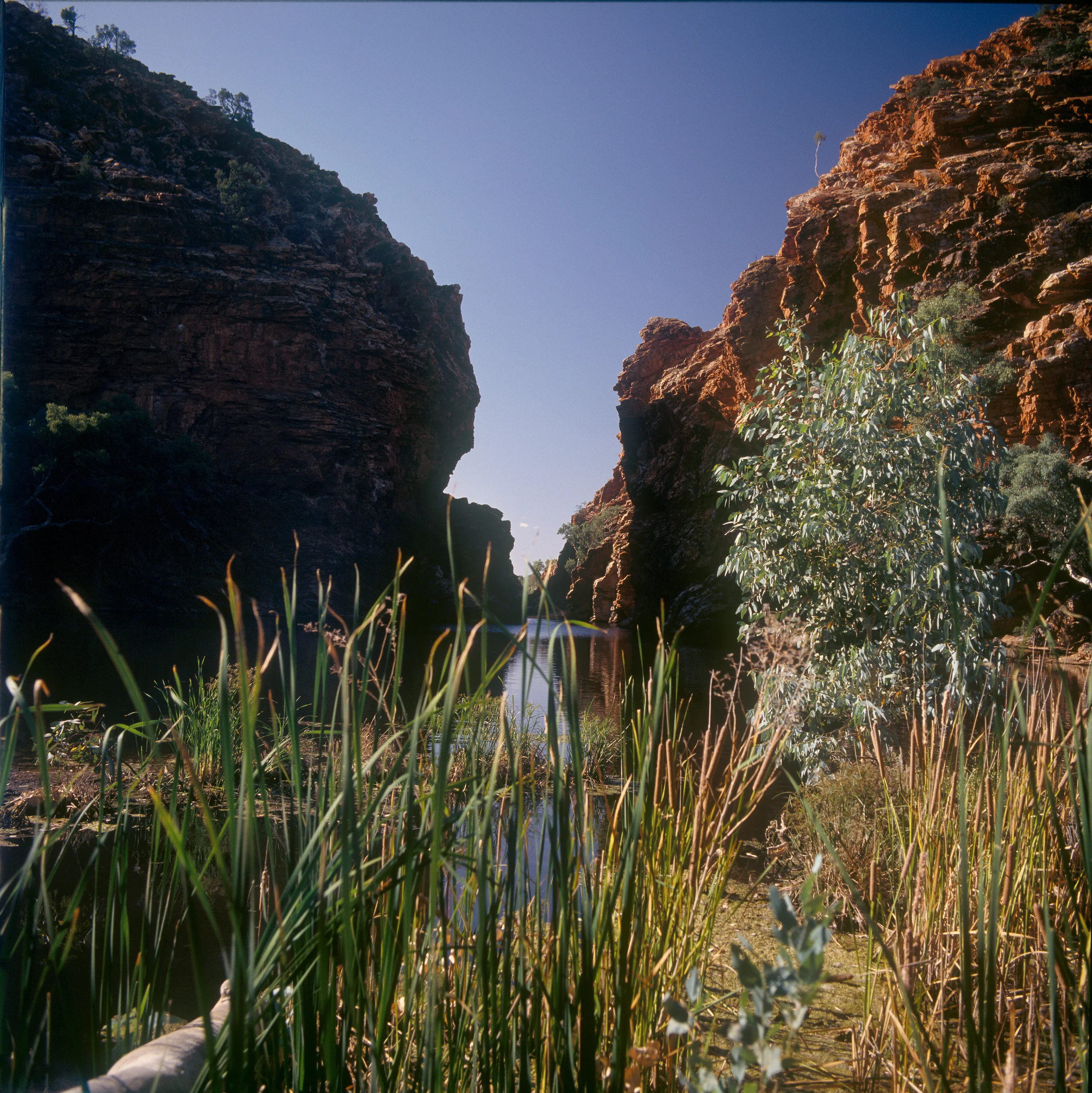 Central Australia squared013.jpg