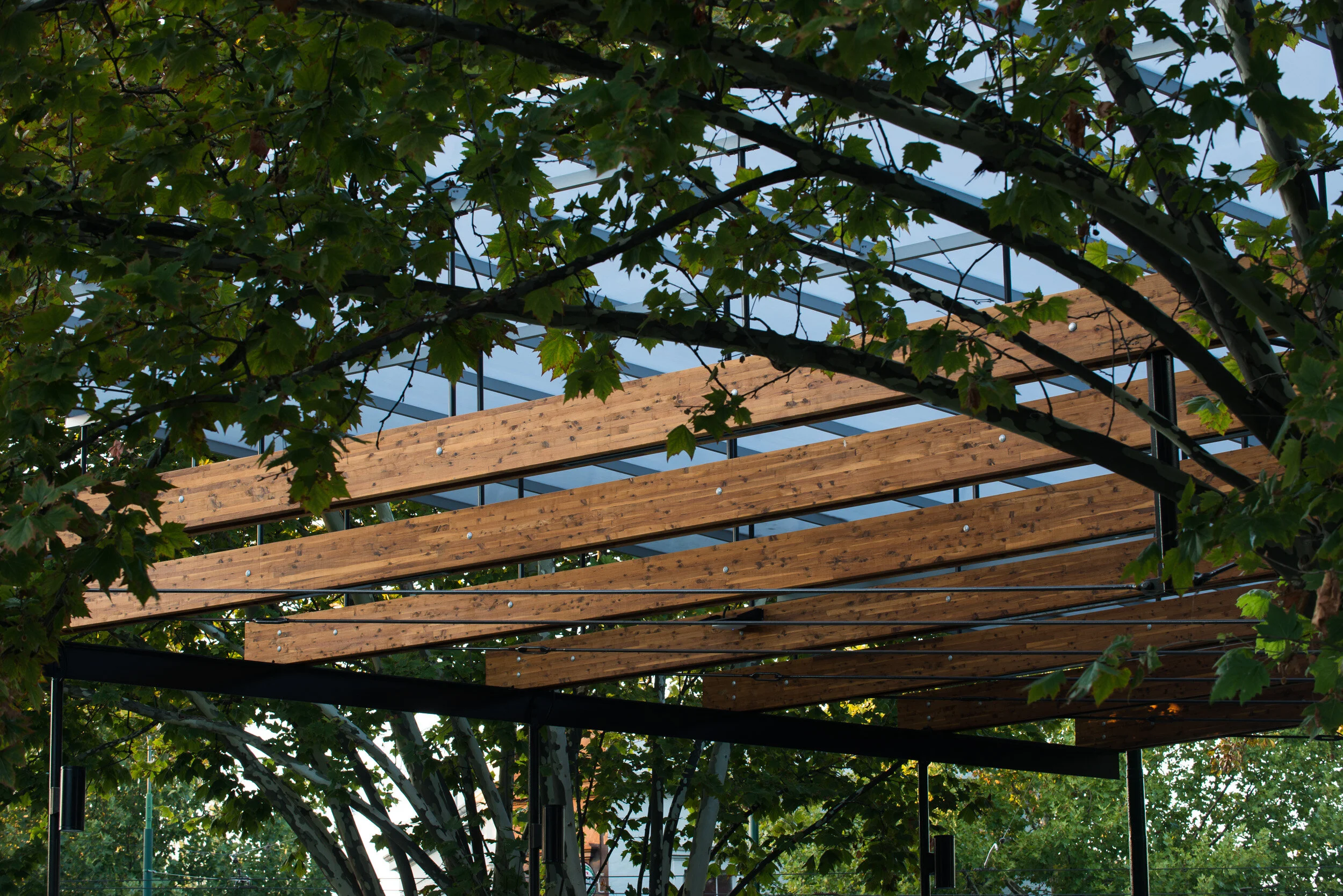 Bendigo bus shelter - Williams Boag Architects