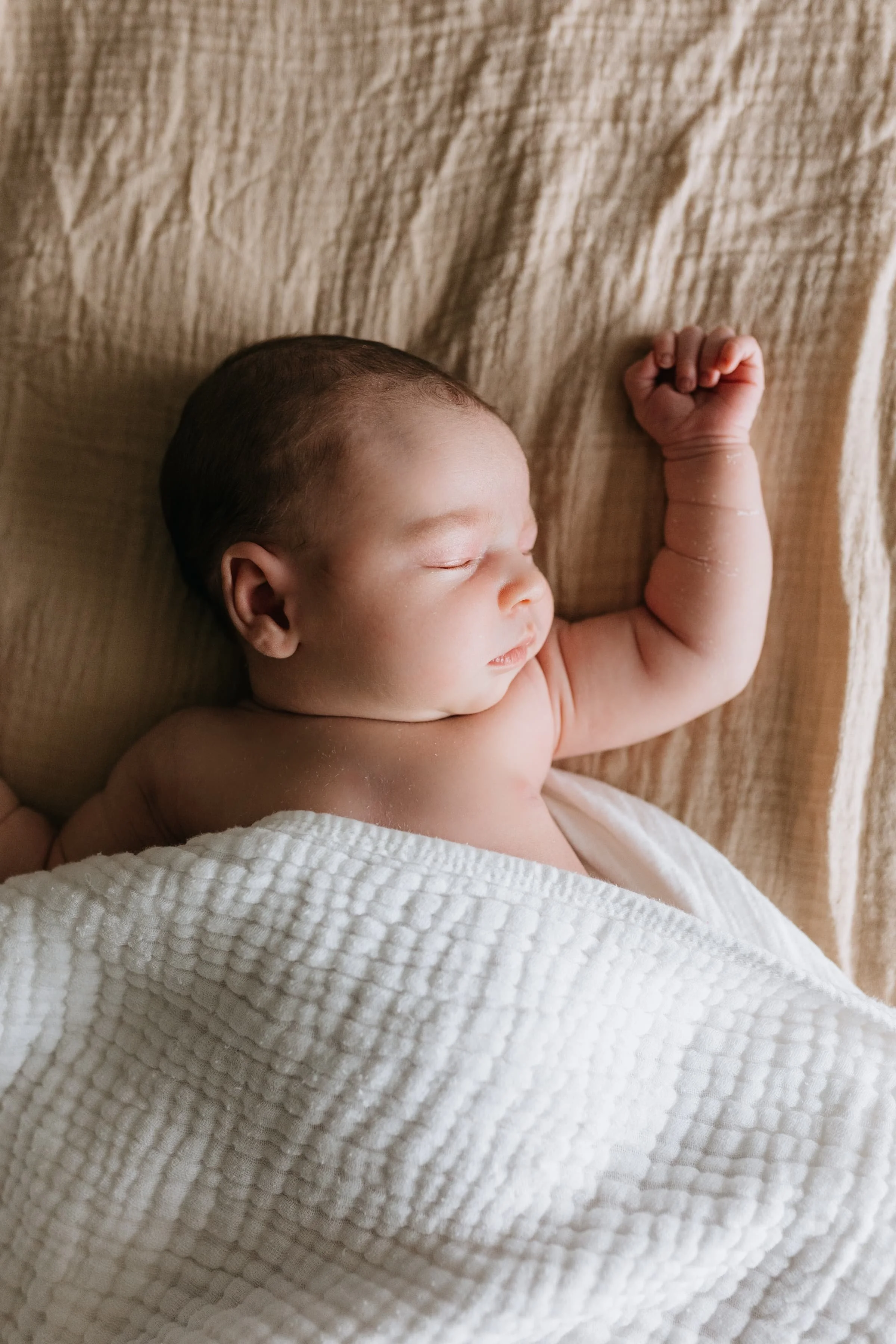 winnipeg-newborn-photographer.jpg