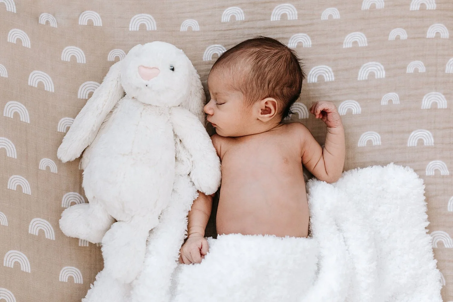winnipeg newborn photographer