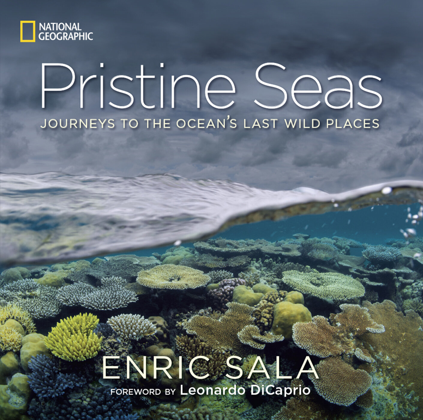 National Geographic Pristine Seas Lifts Anchor on Five-Year Pacific  Expedition to Help Protect Treasure Trove of Ocean Life – National  Geographic Society Newsroom