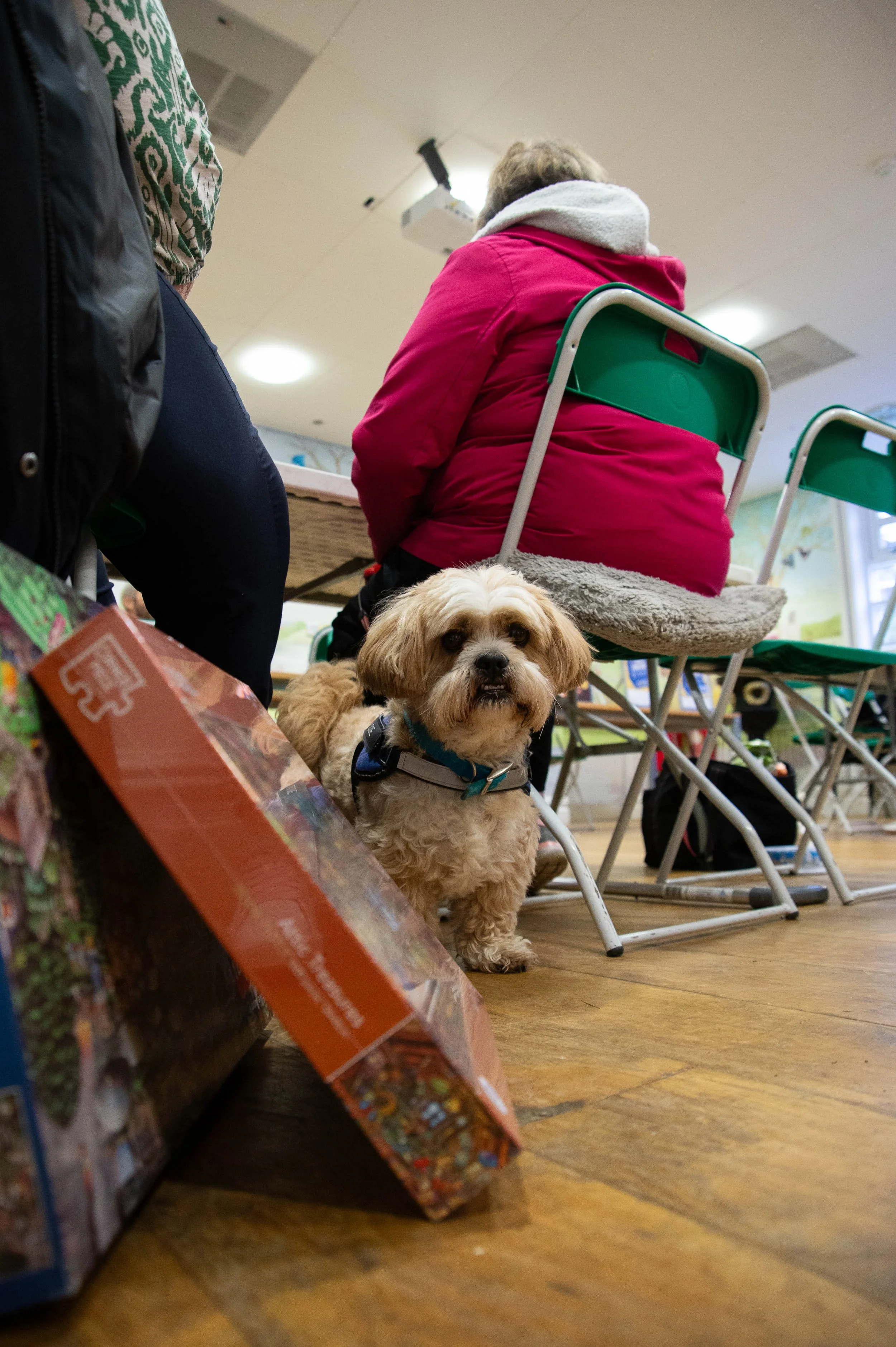 Black Liver Stanley Park 23d May 2024 - images Claire Griffiths (6).jpg