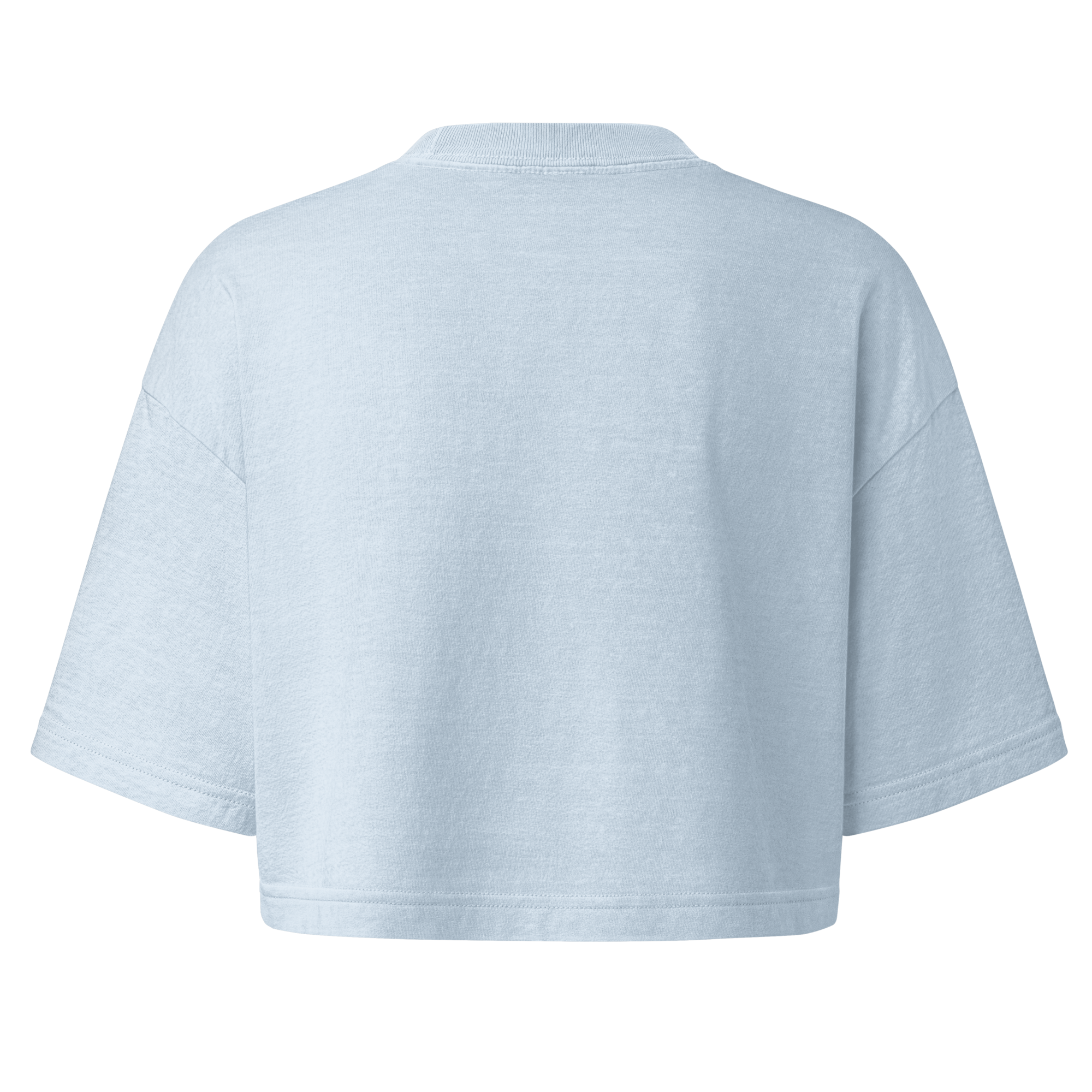 womens-garment-dye-cropped-tee-light-washed-denim-back-6ac13bfe15cf6.png