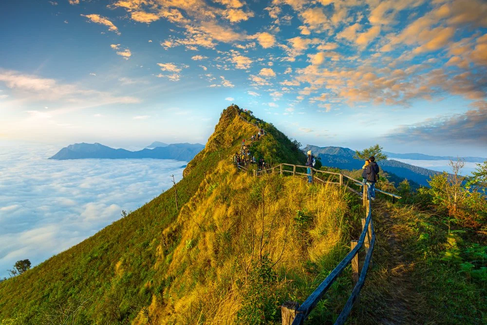shutterstock_1730482591.jpg