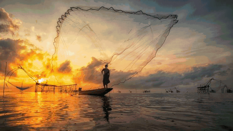 Untitled design (2).gif