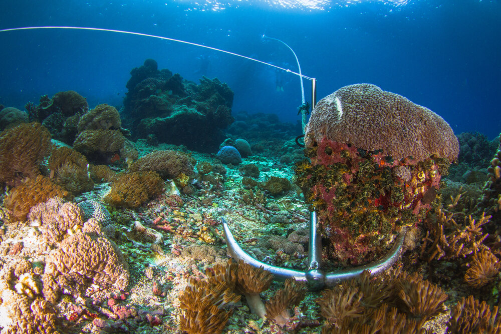 What Impact Does Anchoring Have on Marine Environments? — Pacific Asia  Travel Association