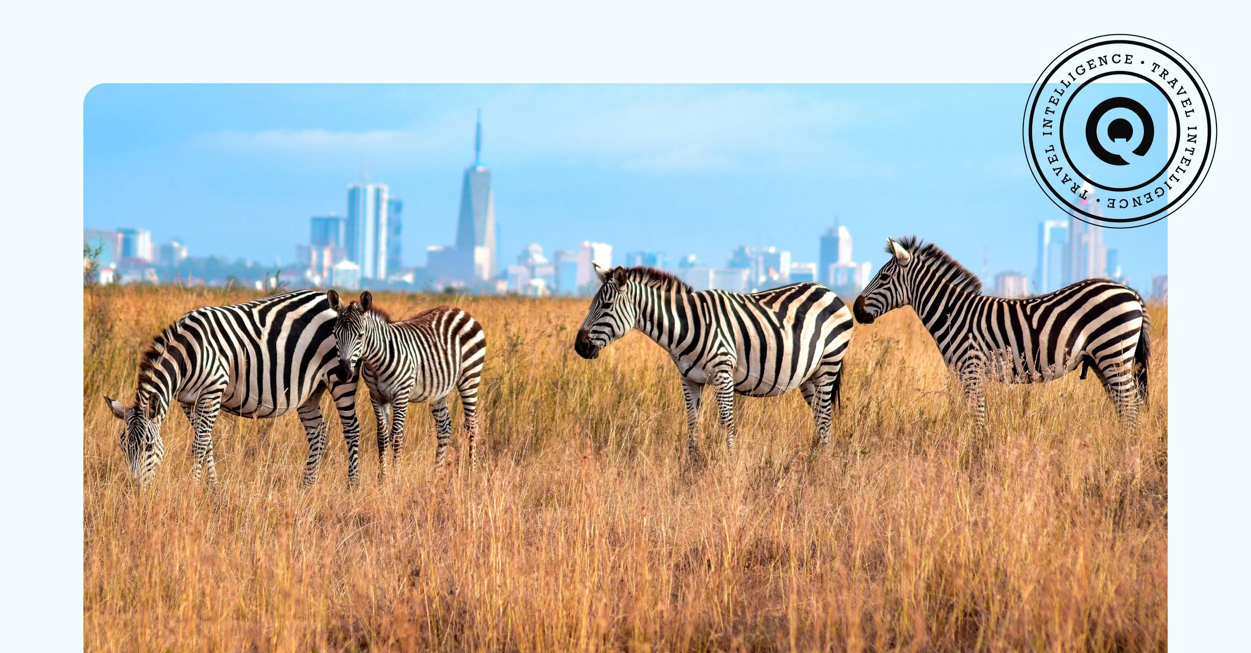 The Future of Travel is Online (Data)