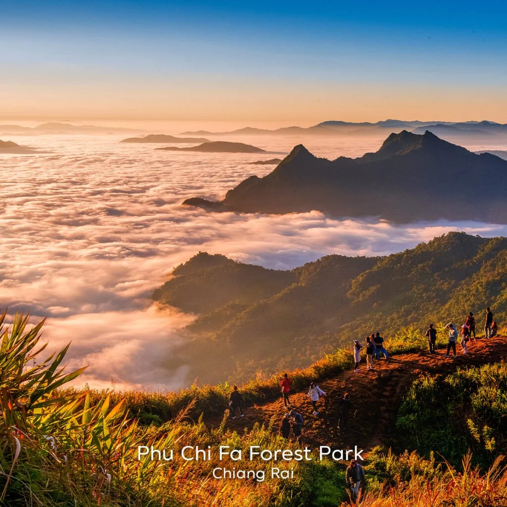 Phu-Chi-Fa-Forest-Park-Chiang-Rai-1024x1024.jpg
