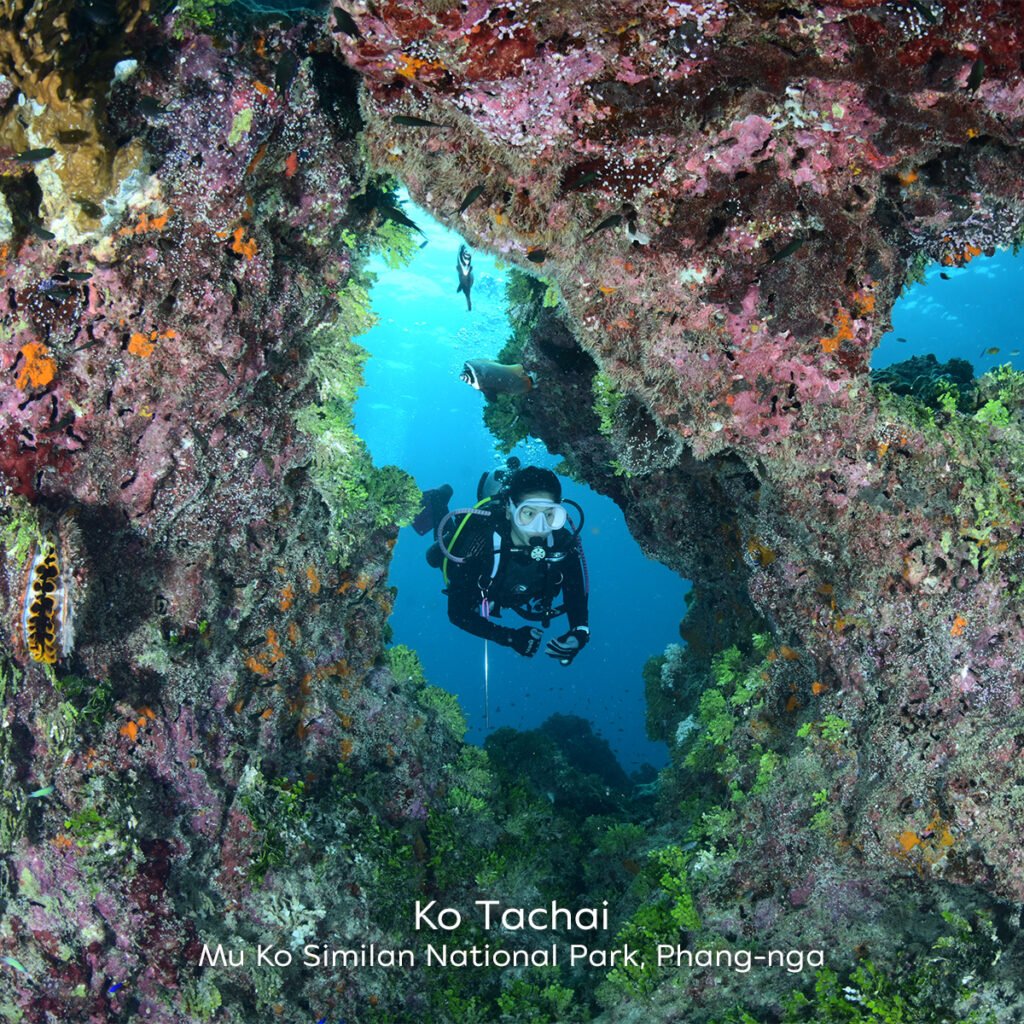 Ko-Tachai-Mu-Ko-Similan-National-Park-Phang-nga-1024x1024.jpg