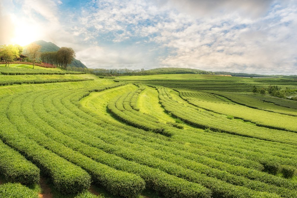shutterstock_1088069276.jpg