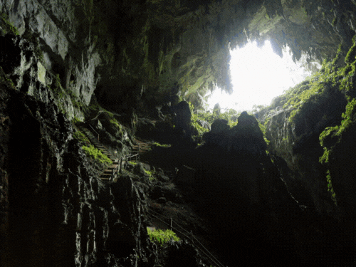 Eceo Tourism.gif