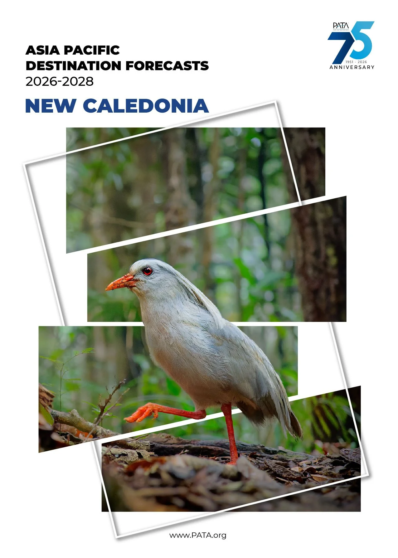 New Caledonia.jpg (Copy)