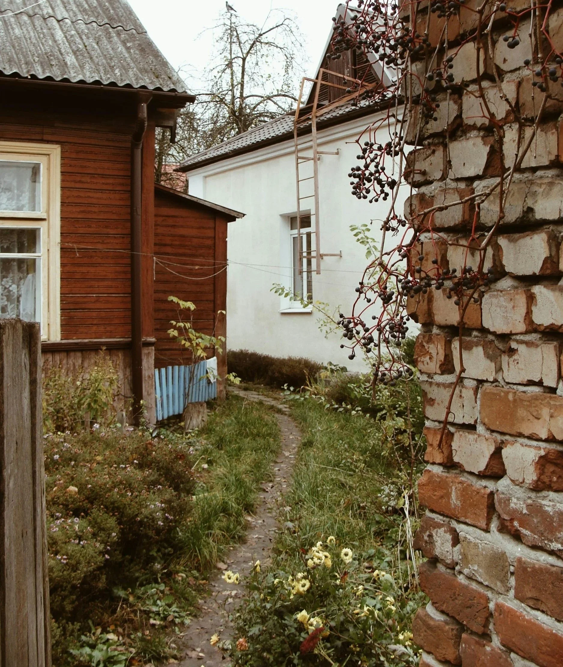 Nostalgia: The Psychological Resource I Am Recommending to My Clients Now More Than Ever