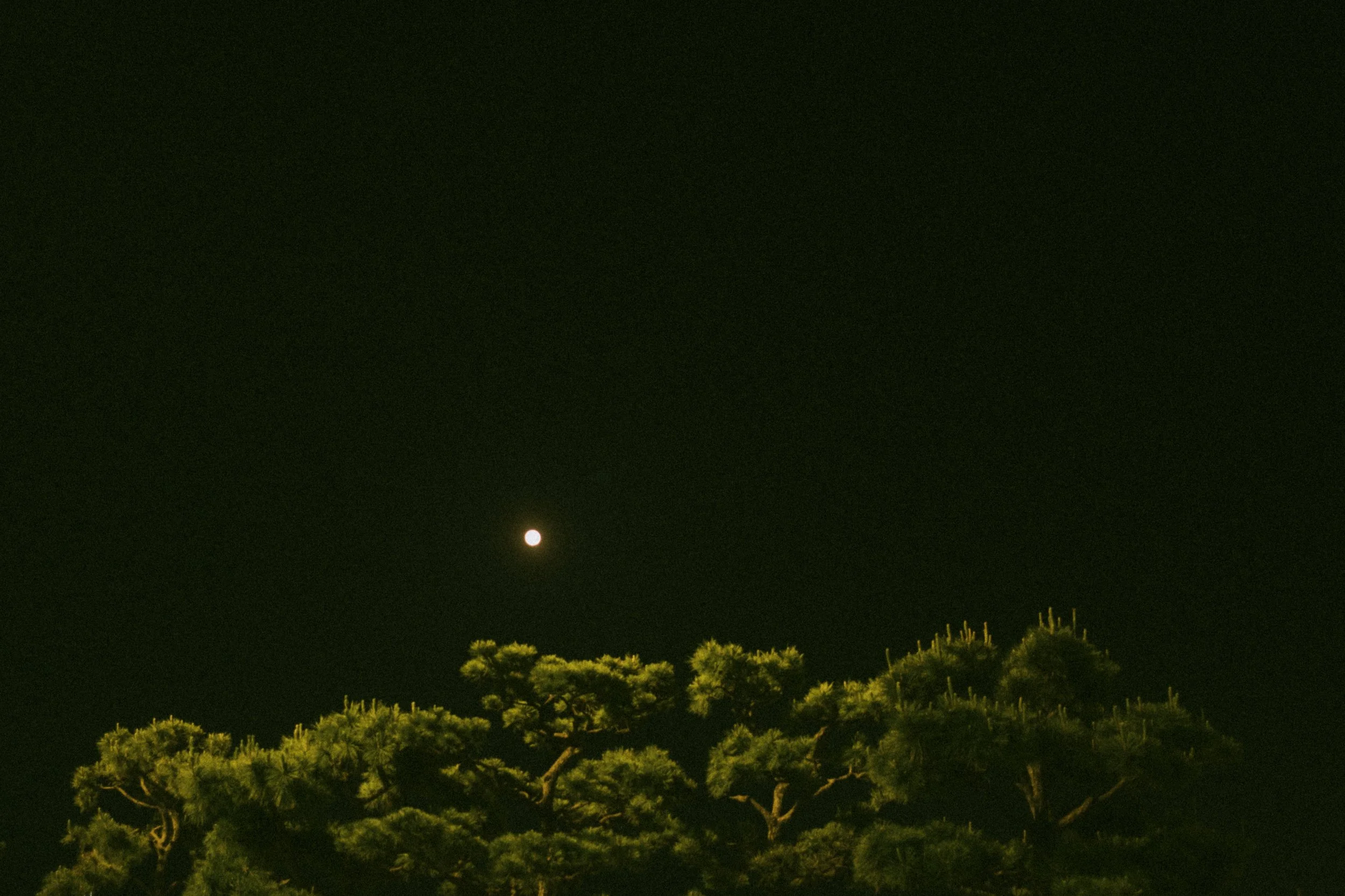_DSF3822.jpg