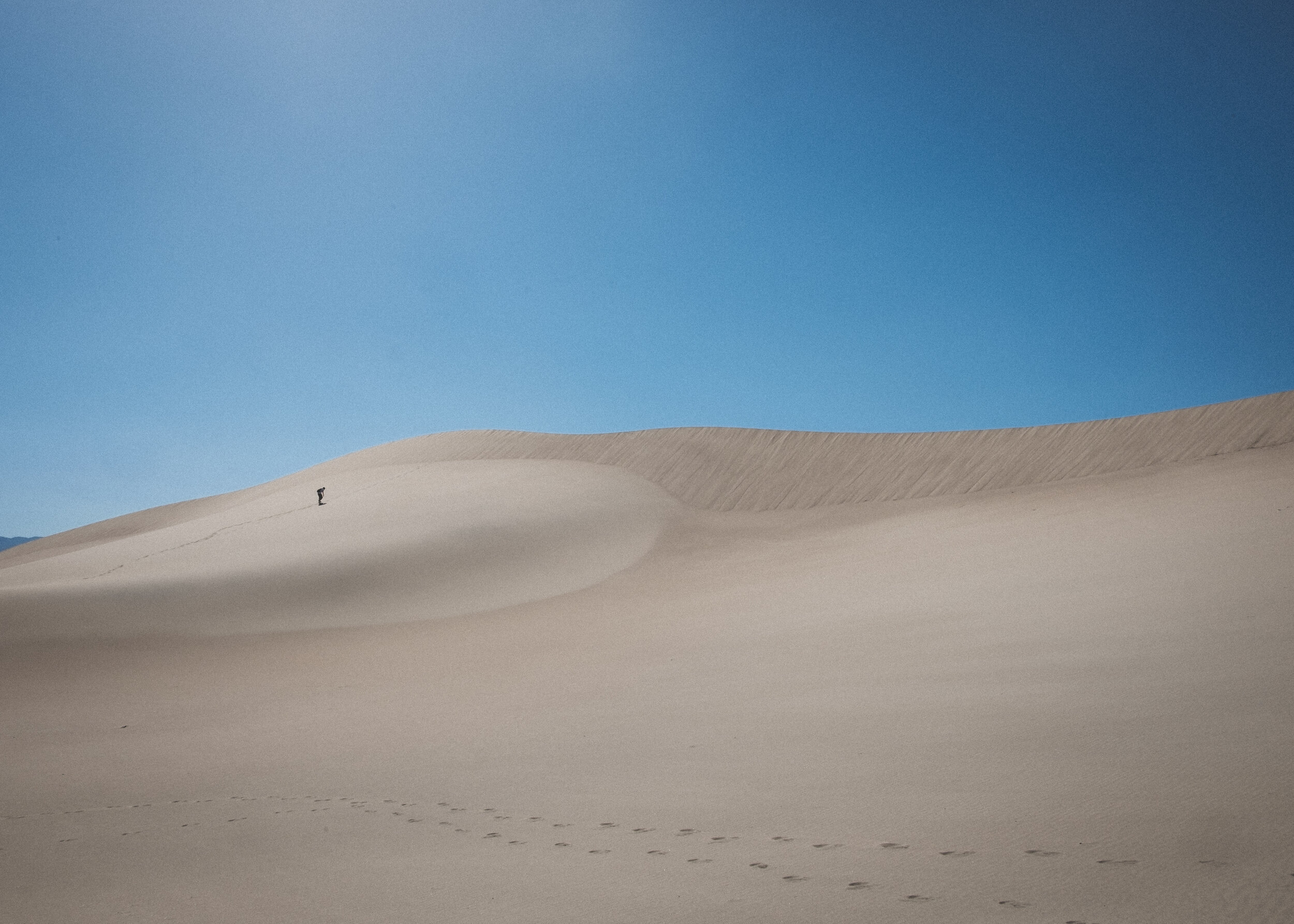 _DSF1363.jpg