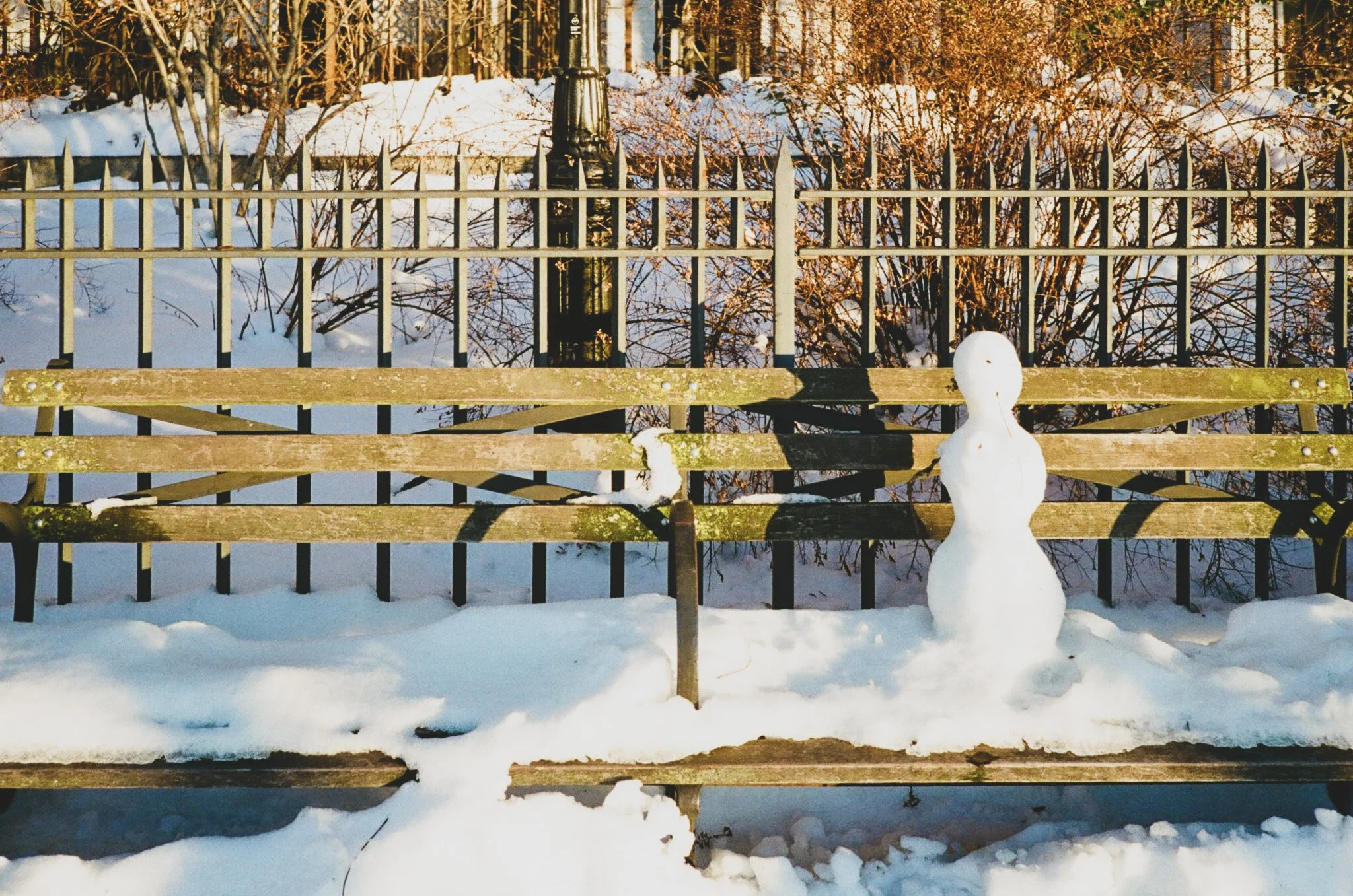 Cold Winter