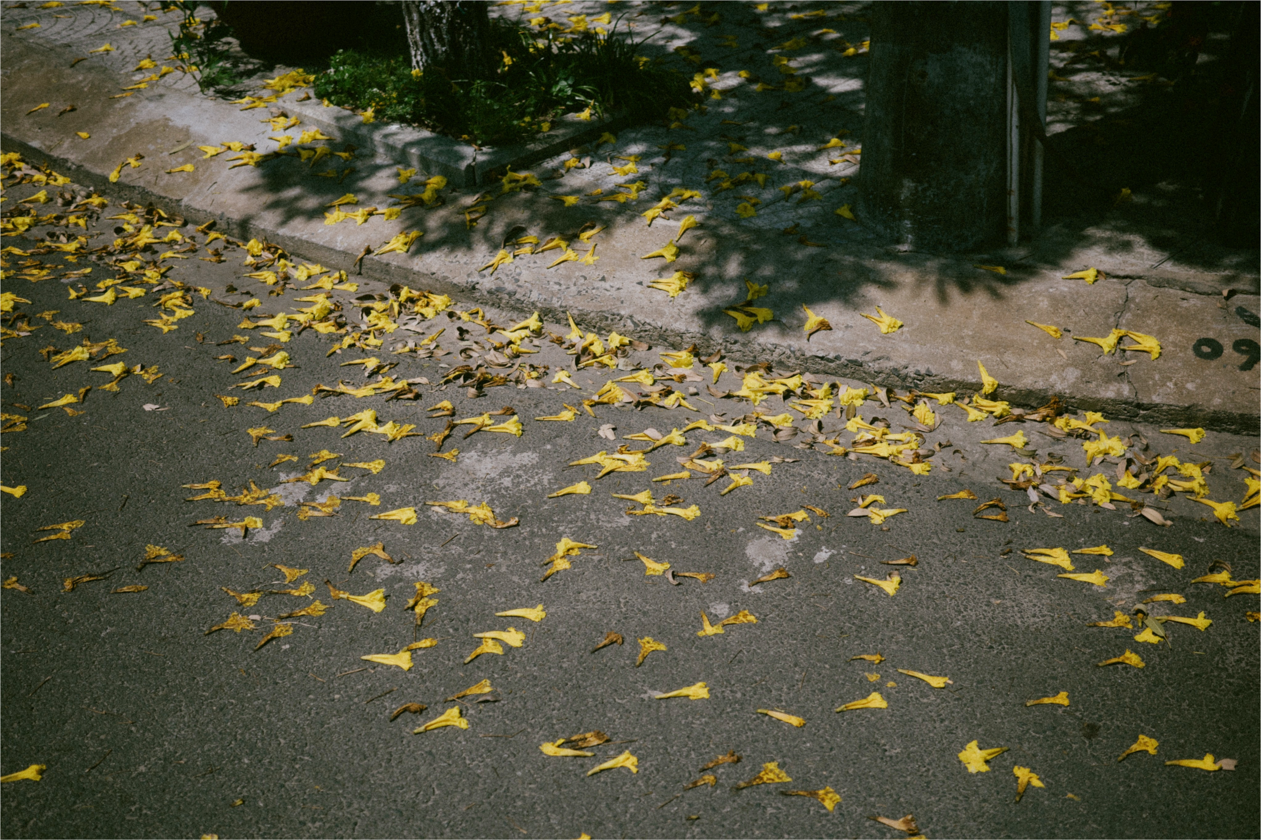 Landscape-3 (4).png