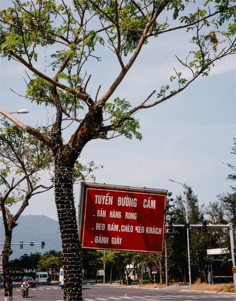 Untitled (8).png