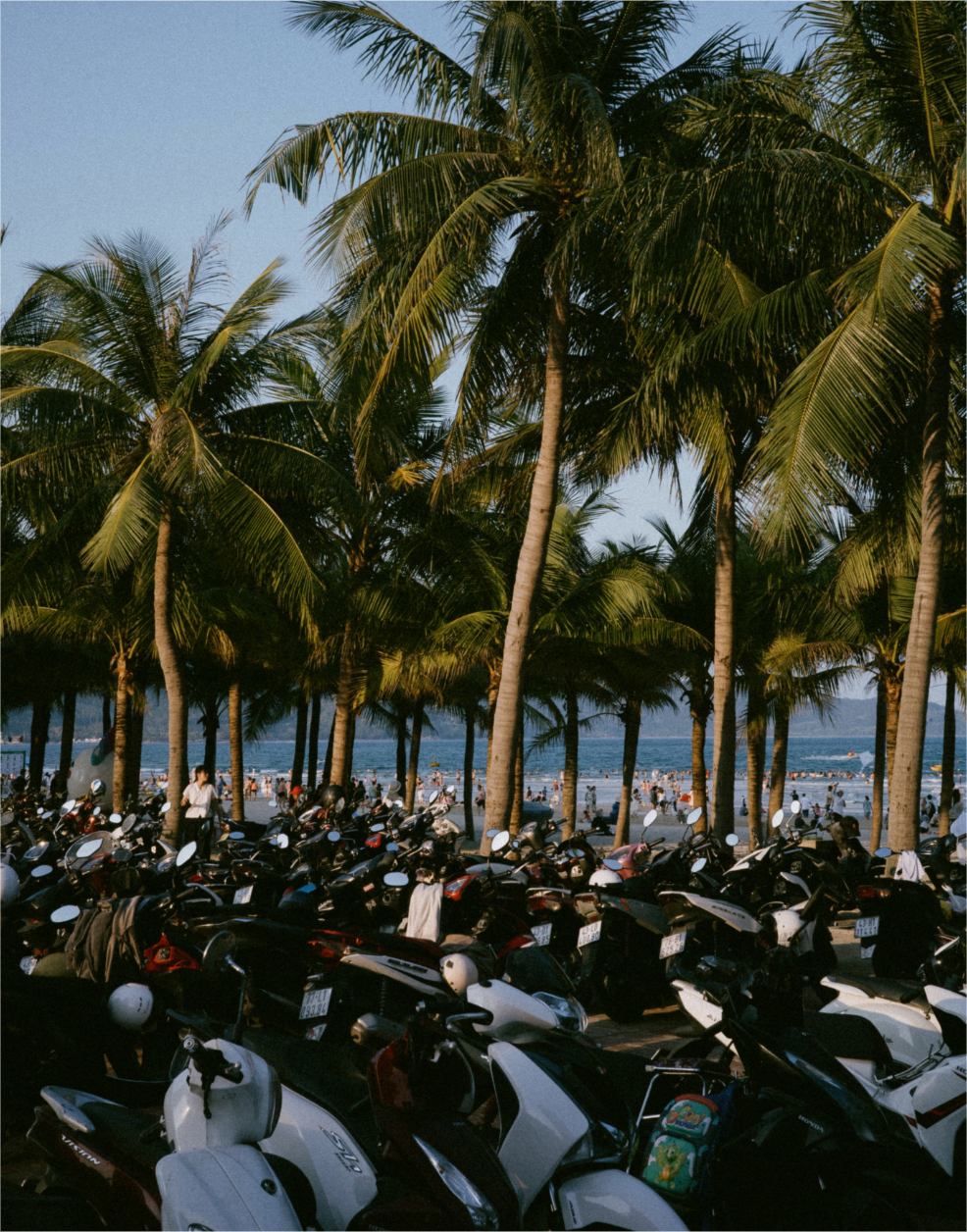 Untitled-6 (3).png