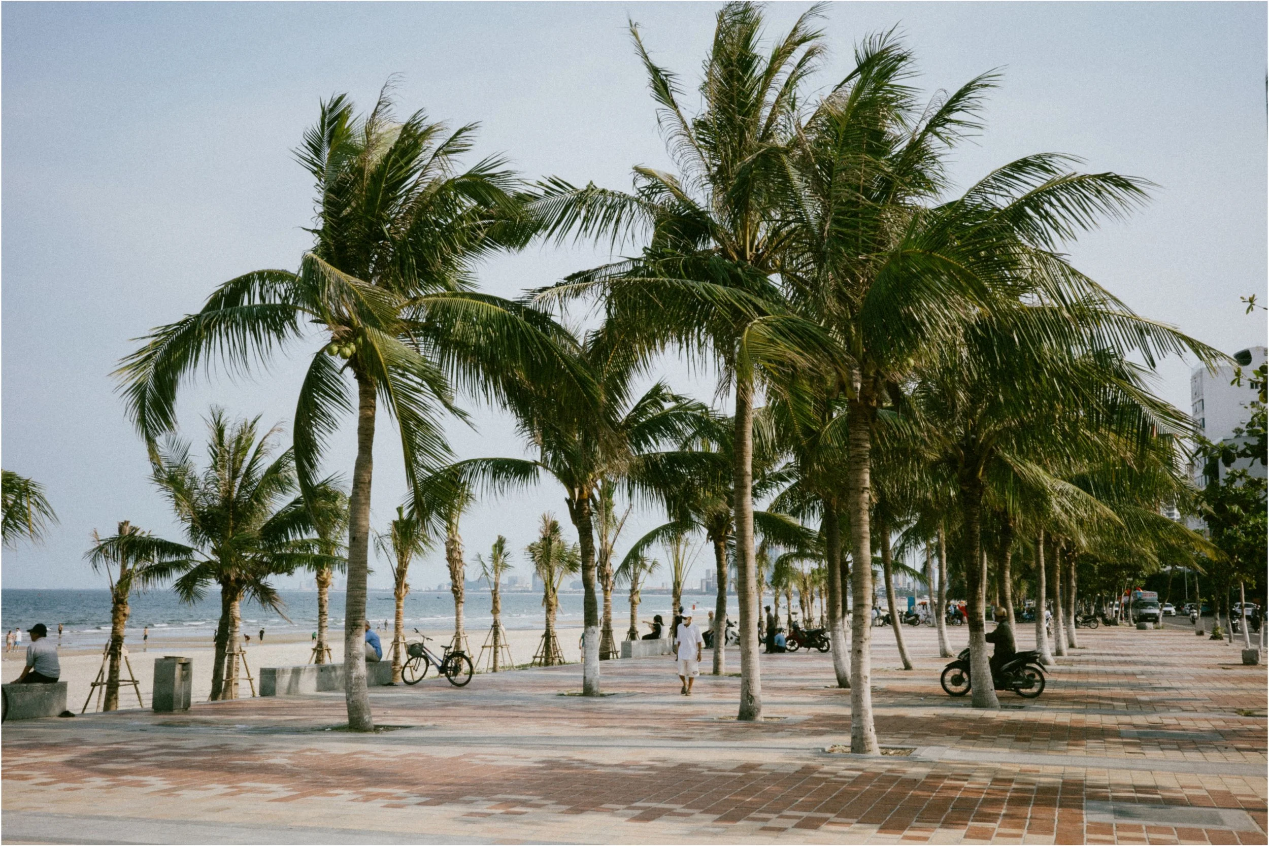 Landscape (11).jpeg