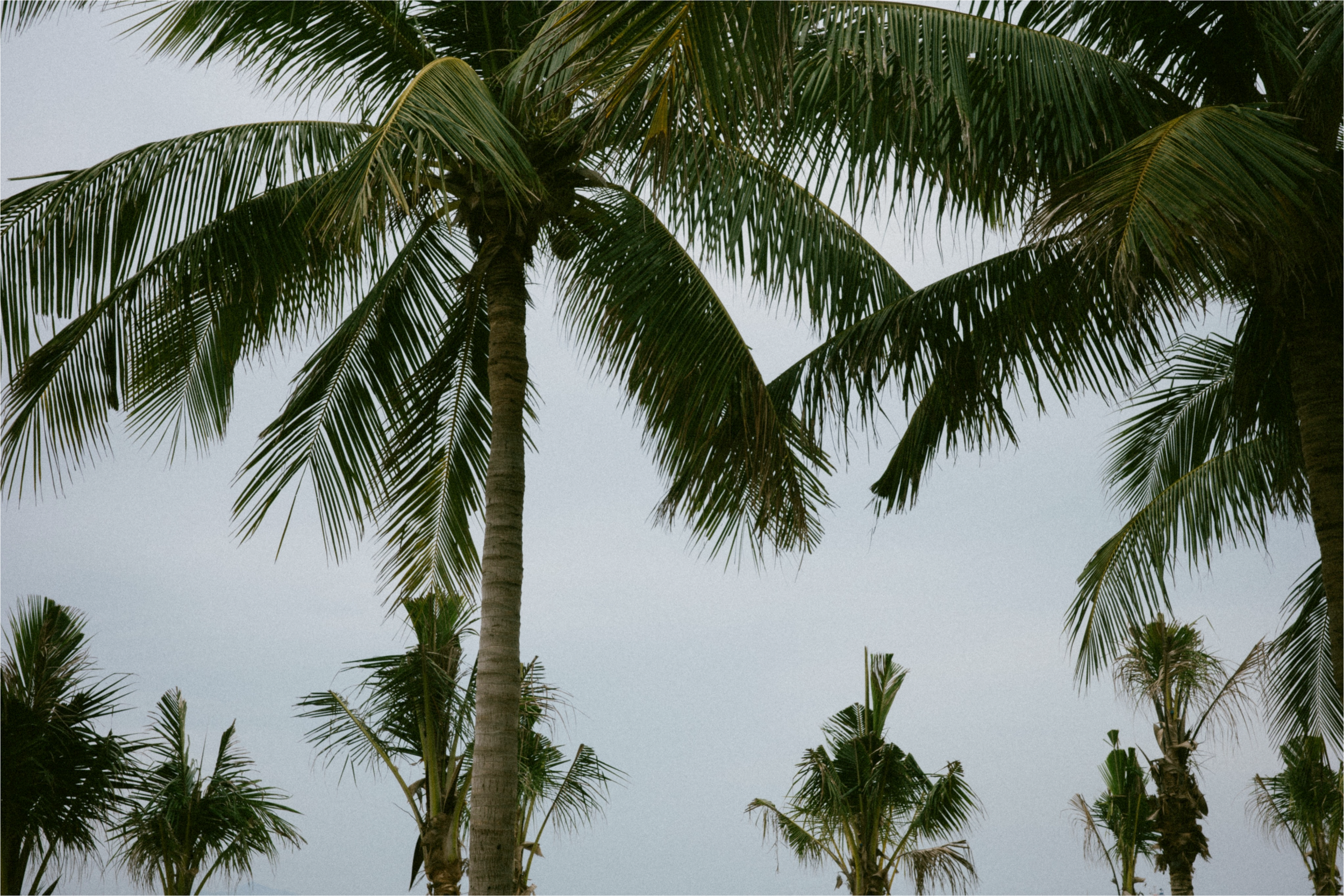 Landscape (15).png