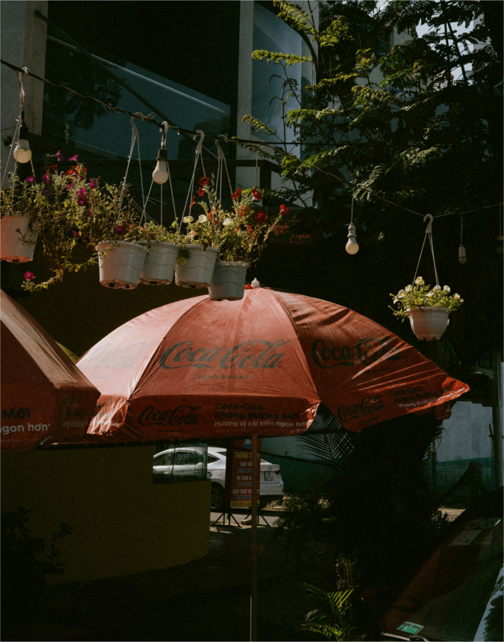 Untitled-7 (1).png